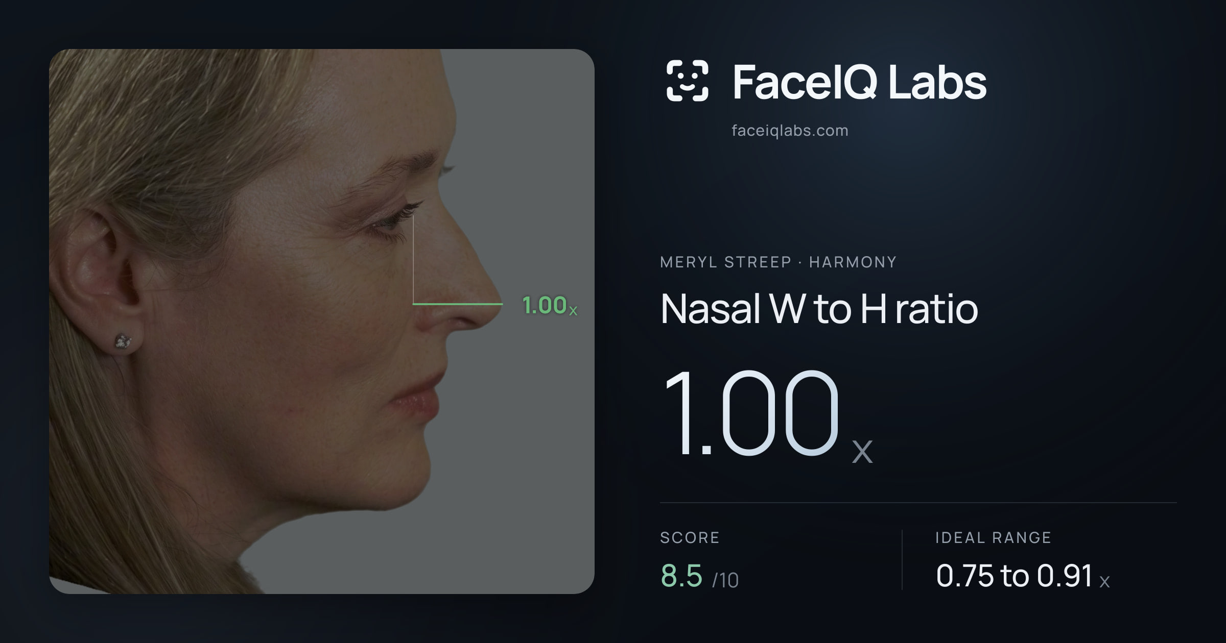 Meryl Streep Nasal W to H ratio: 1.00x, drawn on the photo