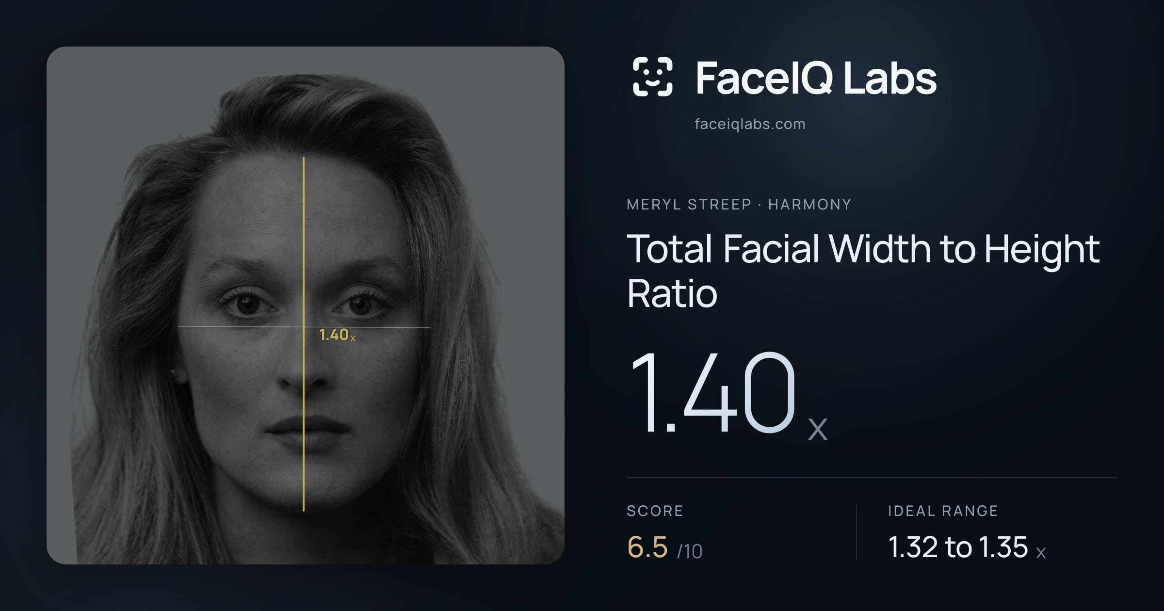Meryl Streep Total Facial Width to Height Ratio: 1.40x, drawn on the photo