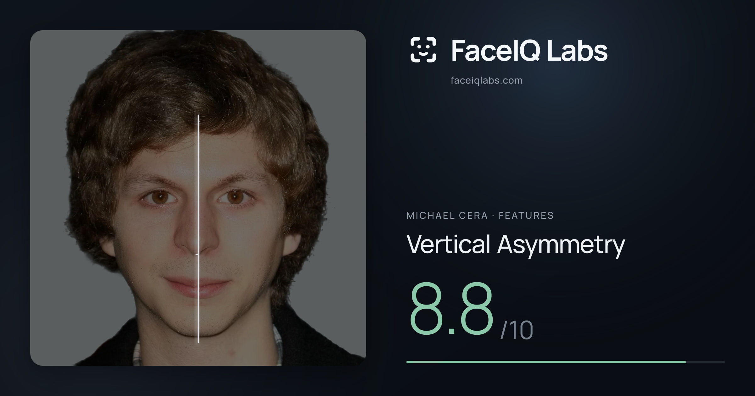 Michael Cera Vertical Asymmetry: 8.8/10, drawn on the photo
