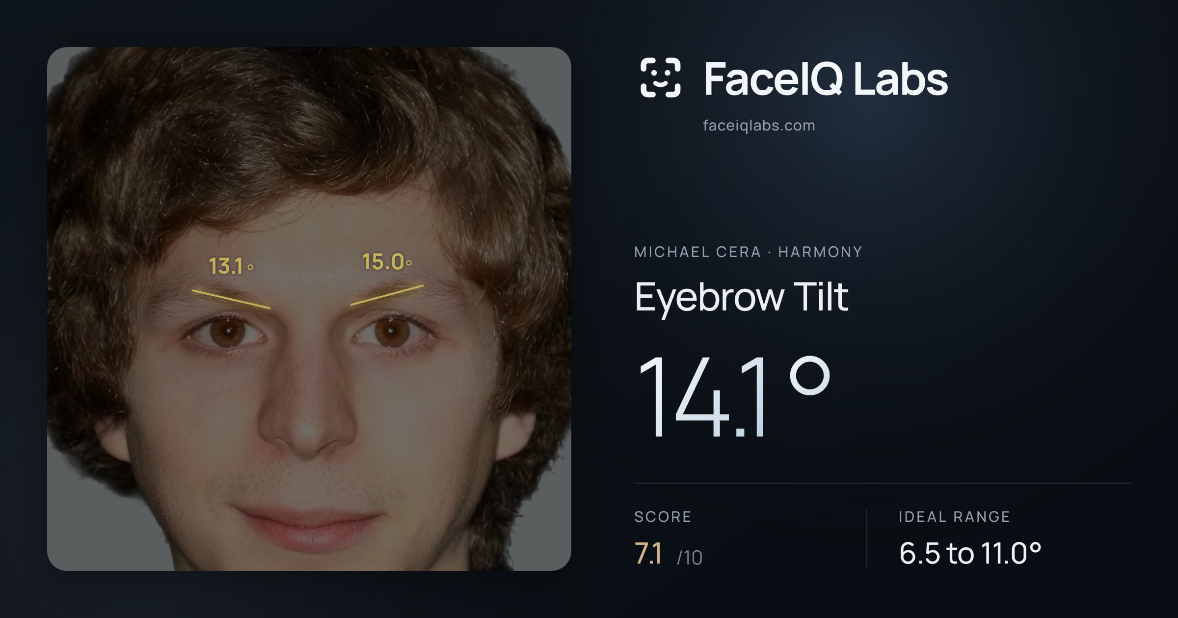 Michael Cera Eyebrow Tilt: 14.1°, drawn on the photo