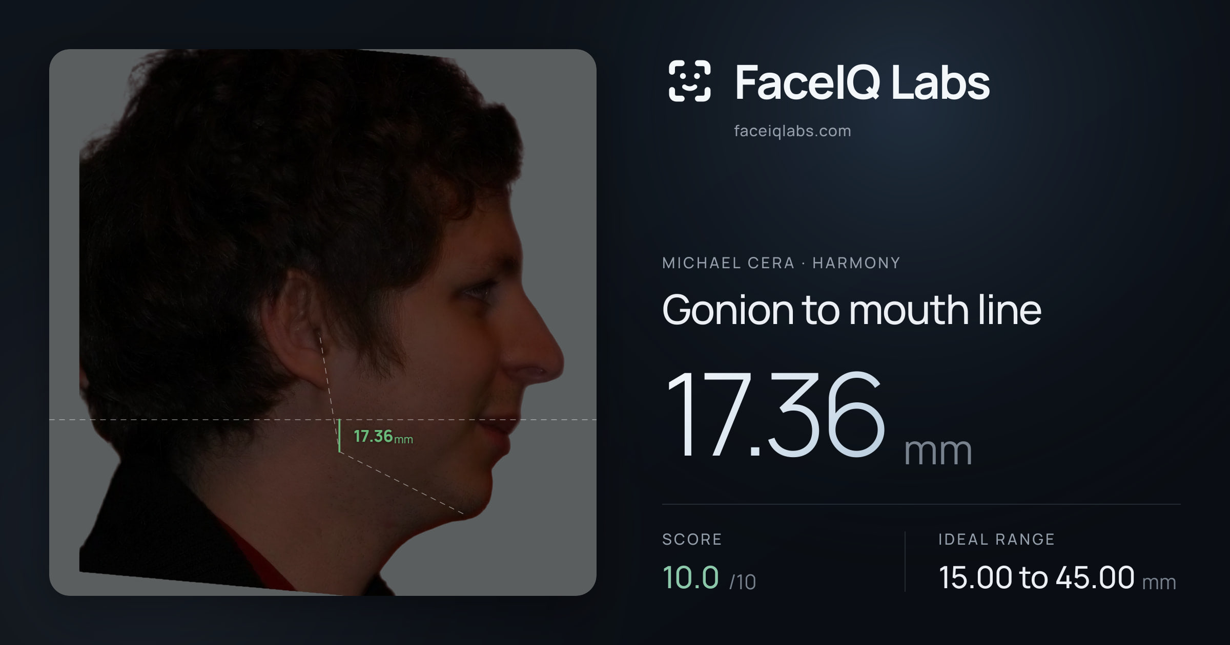 Michael Cera Gonion to mouth line: 17.36mm, drawn on the photo