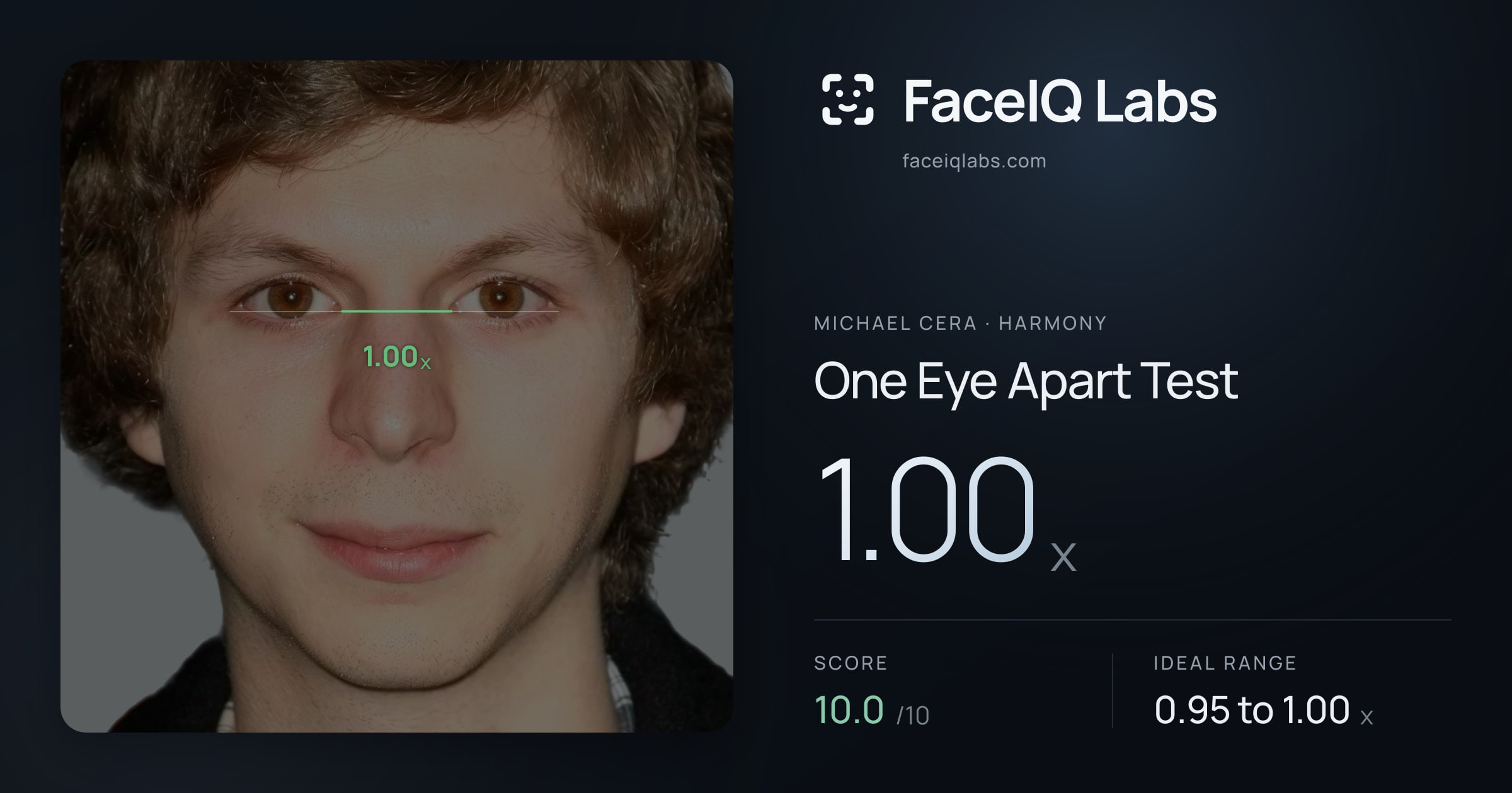 Michael Cera One Eye Apart Test: 1.00x, drawn on the photo