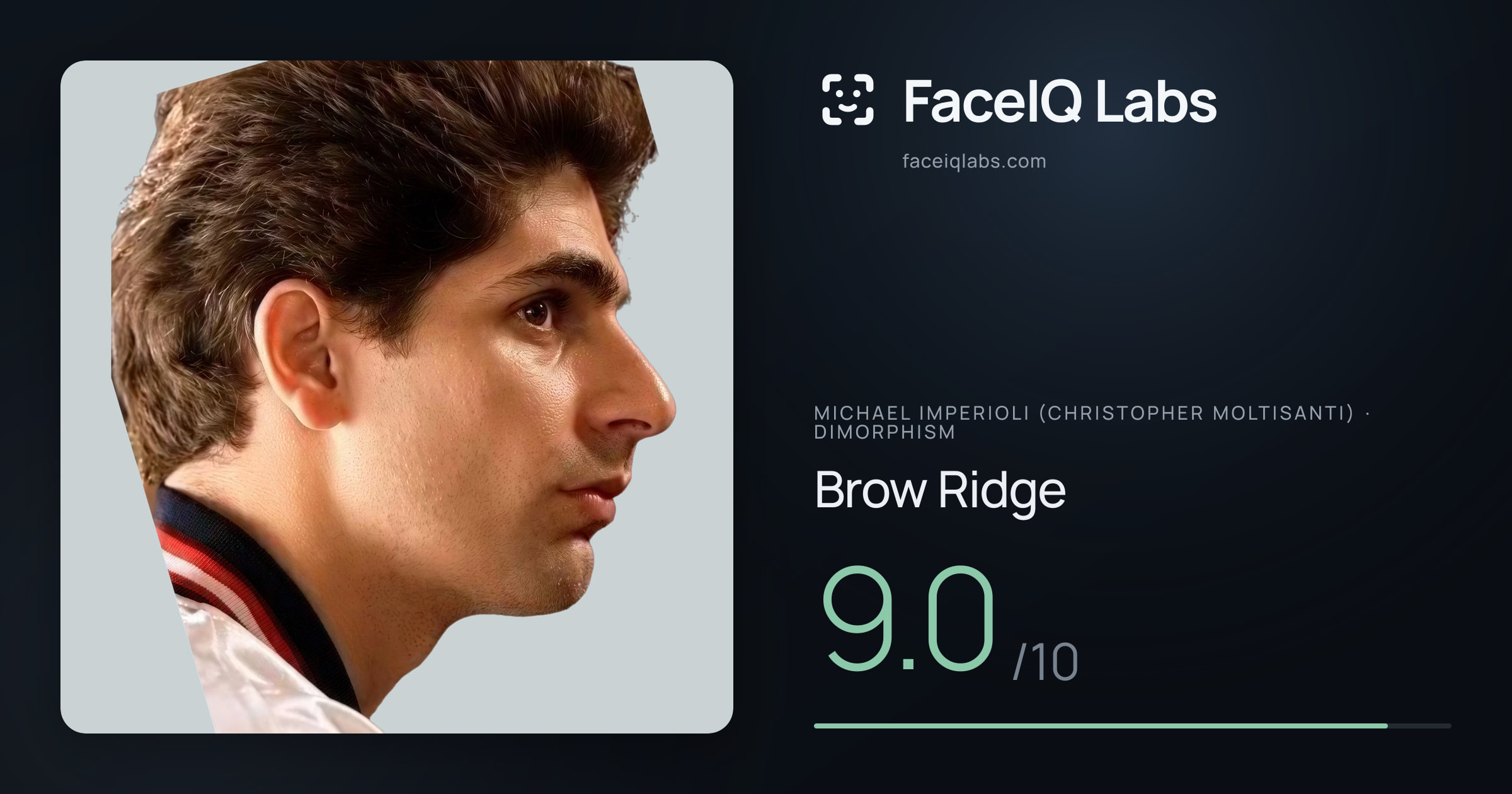 Michael Imperioli (Christopher Moltisanti) Brow Ridge: 7.8/10, drawn on the photo