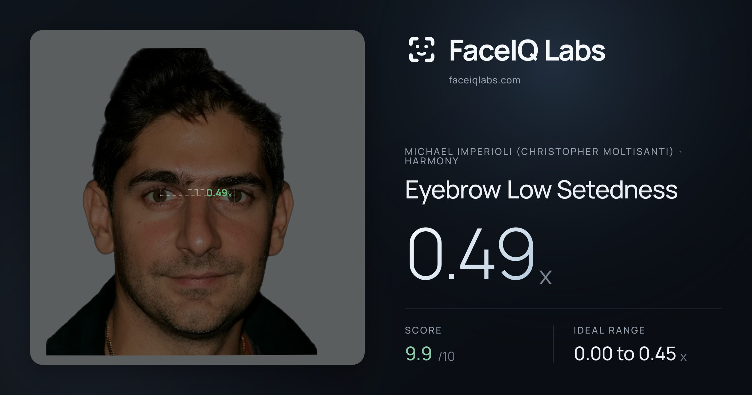 Michael Imperioli (Christopher Moltisanti) Eyebrow Low Setedness: 0.49x, drawn on the photo