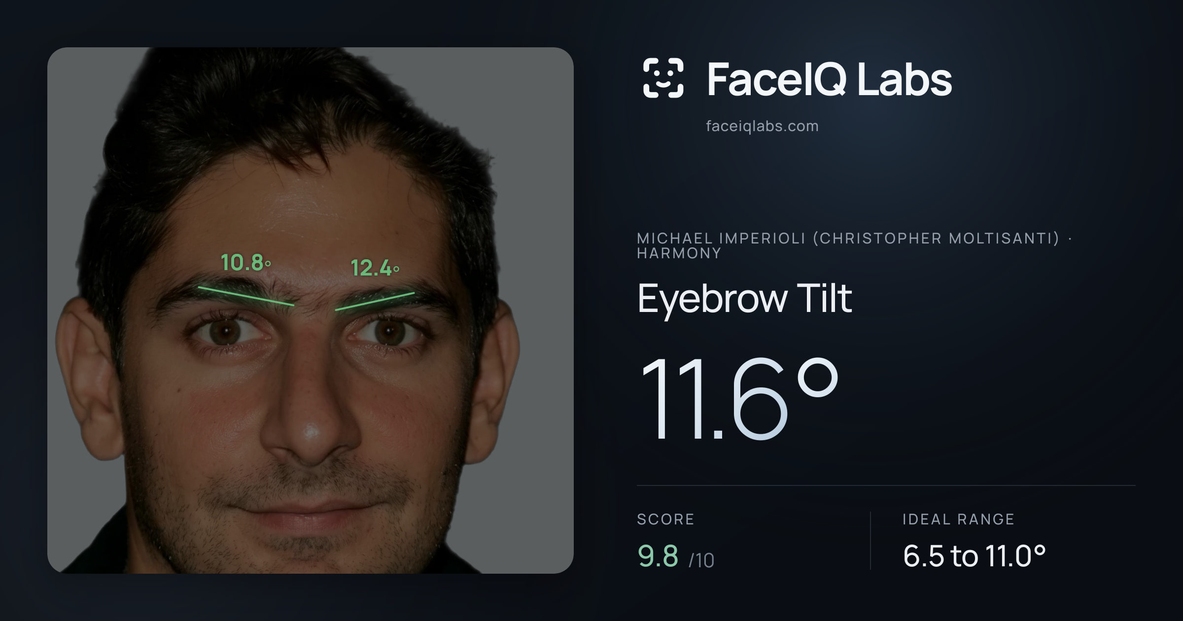 Michael Imperioli (Christopher Moltisanti) Eyebrow Tilt: 11.6°, drawn on the photo