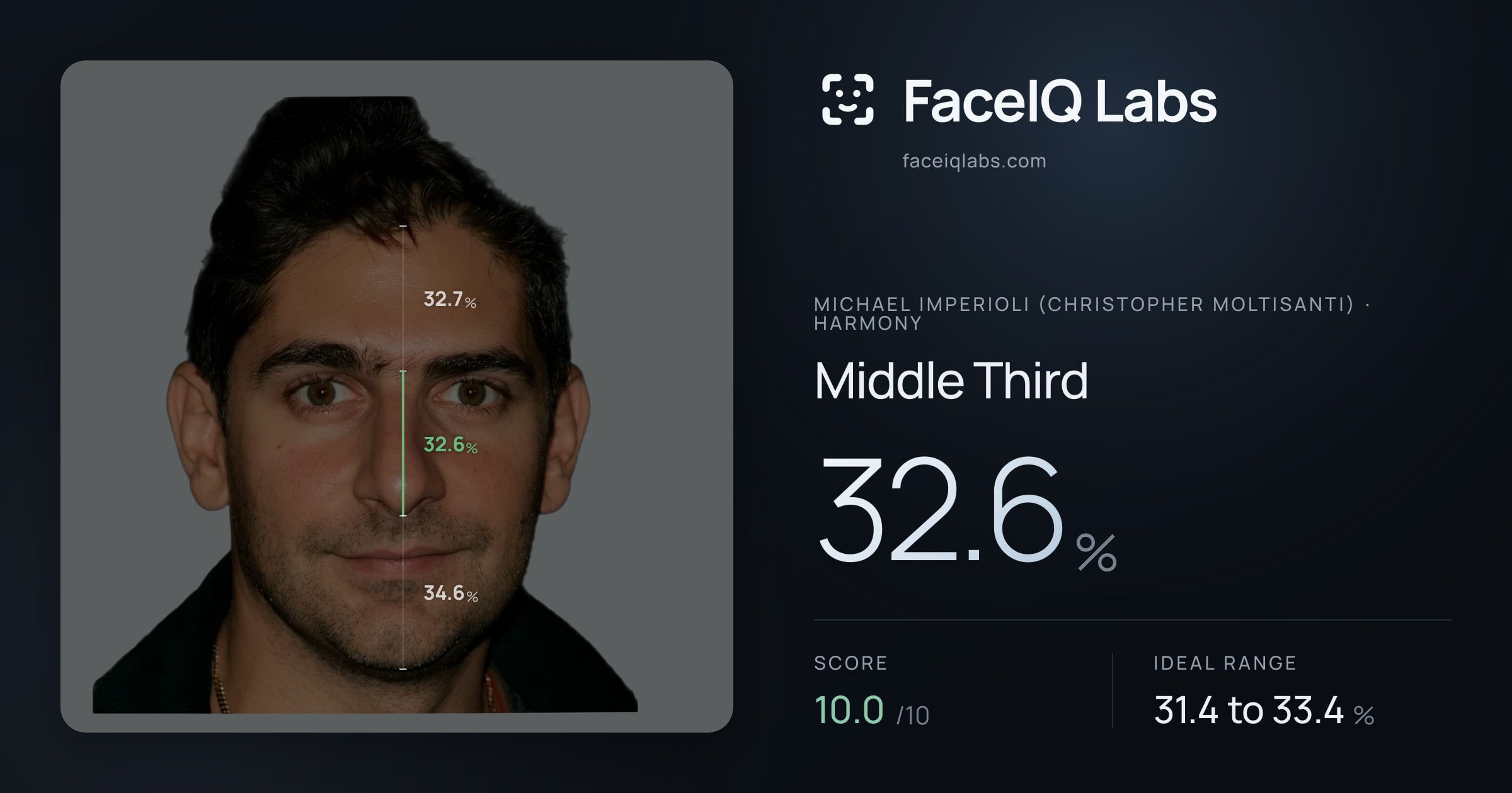 Michael Imperioli (Christopher Moltisanti) Middle Third: 32.6%, drawn on the photo