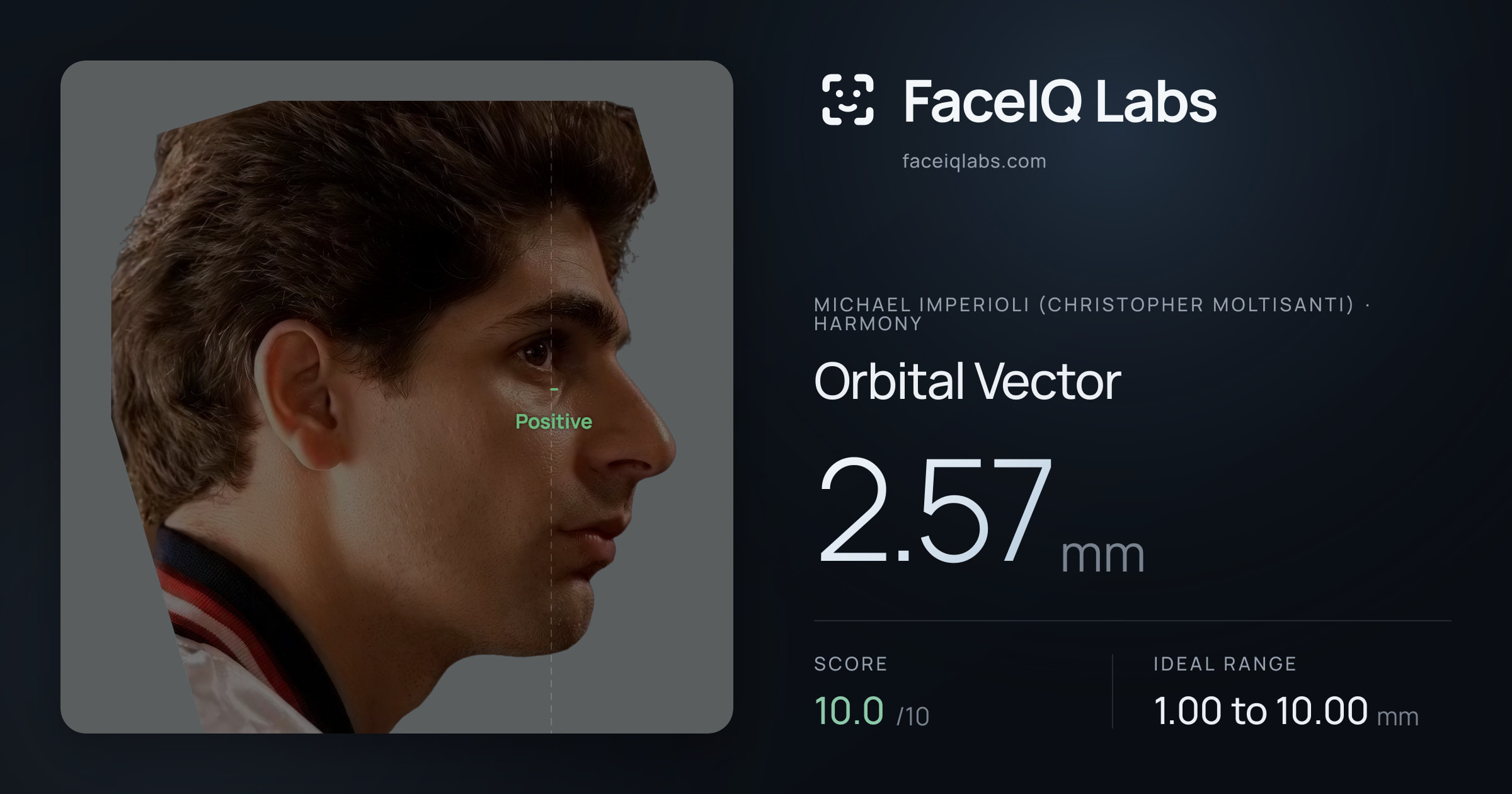 Michael Imperioli (Christopher Moltisanti) Orbital Vector: 2.57mm, drawn on the photo