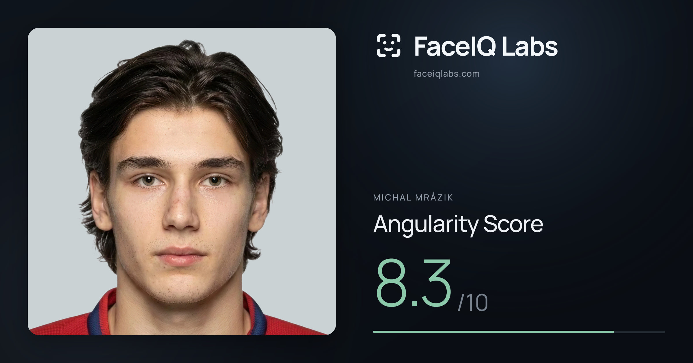 Michal Mrázik Angularity: 8.3/10, with each assessment drawn on the photo