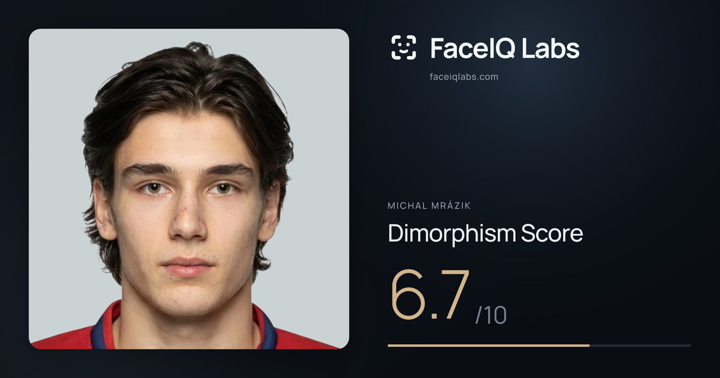Michal Mrázik Dimorphism: 6.7/10, with each assessment drawn on the photo