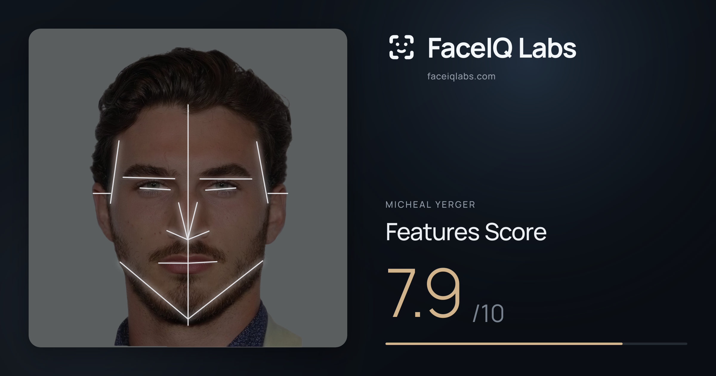 Micheal Yerger Features: 7.9/10, with each assessment drawn on the photo