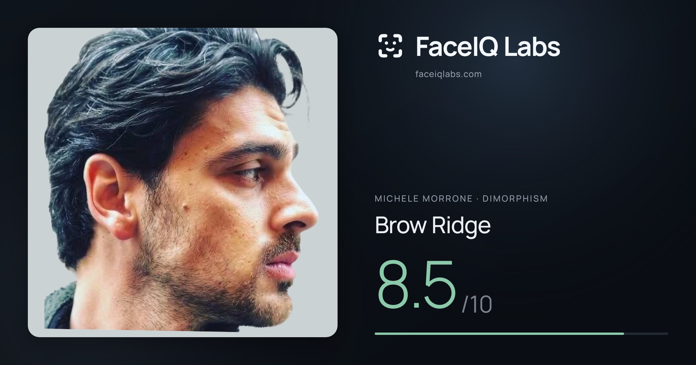 Michele Morrone Brow Ridge: 8.5/10, drawn on the photo