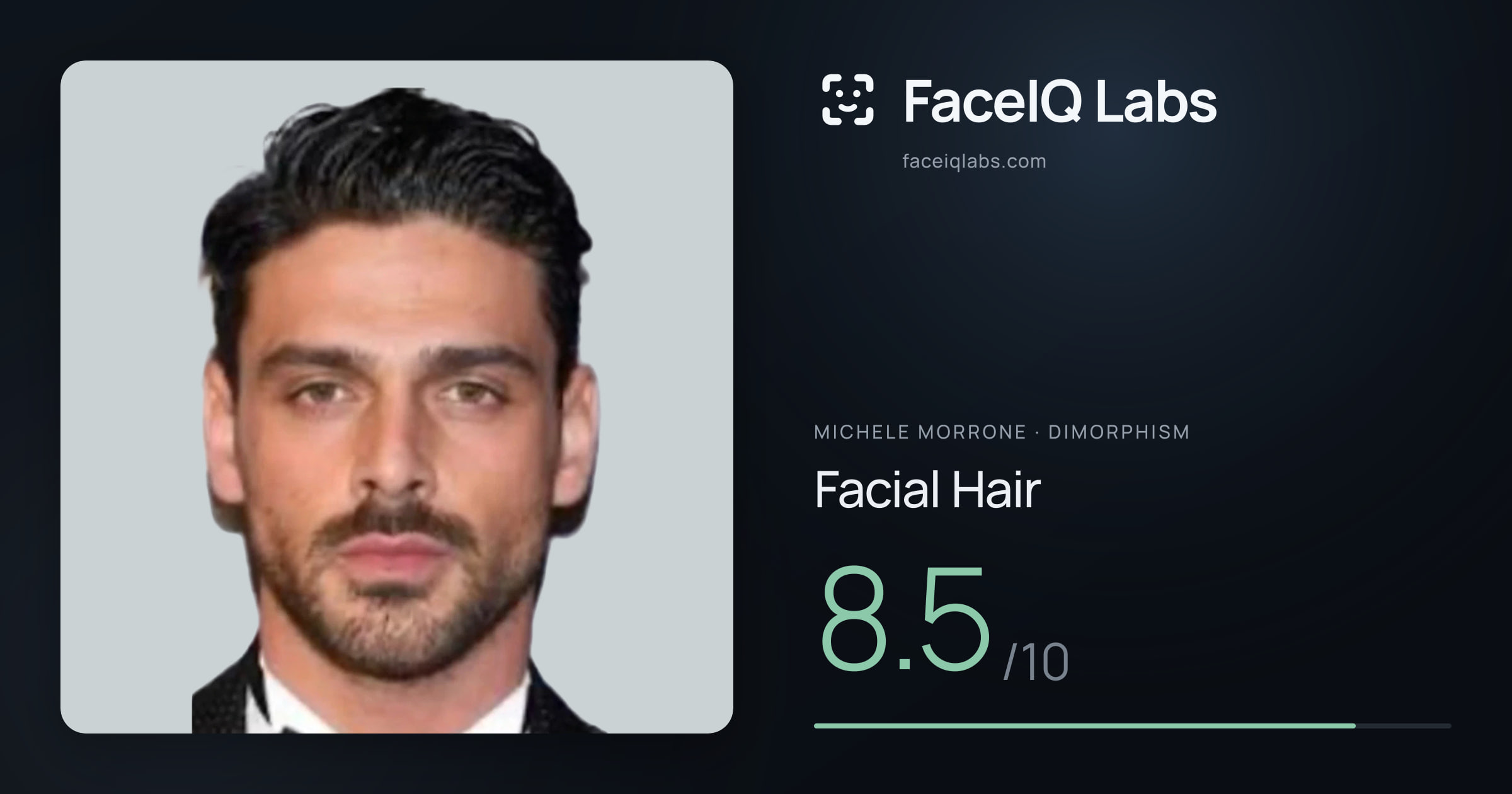 Michele Morrone Facial Hair: 8.5/10, drawn on the photo