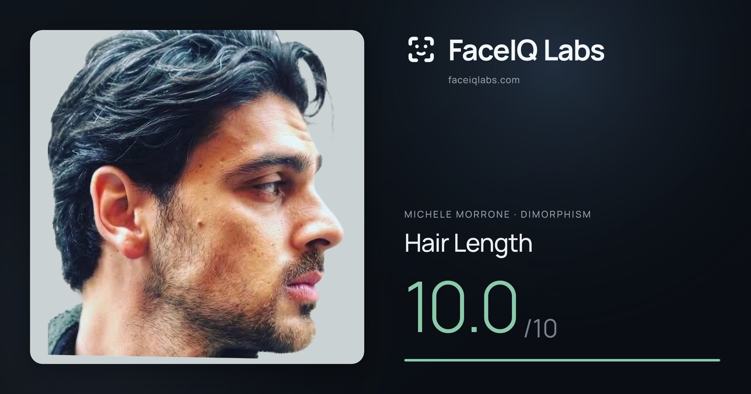 Michele Morrone Hair Length: 10.0/10, drawn on the photo