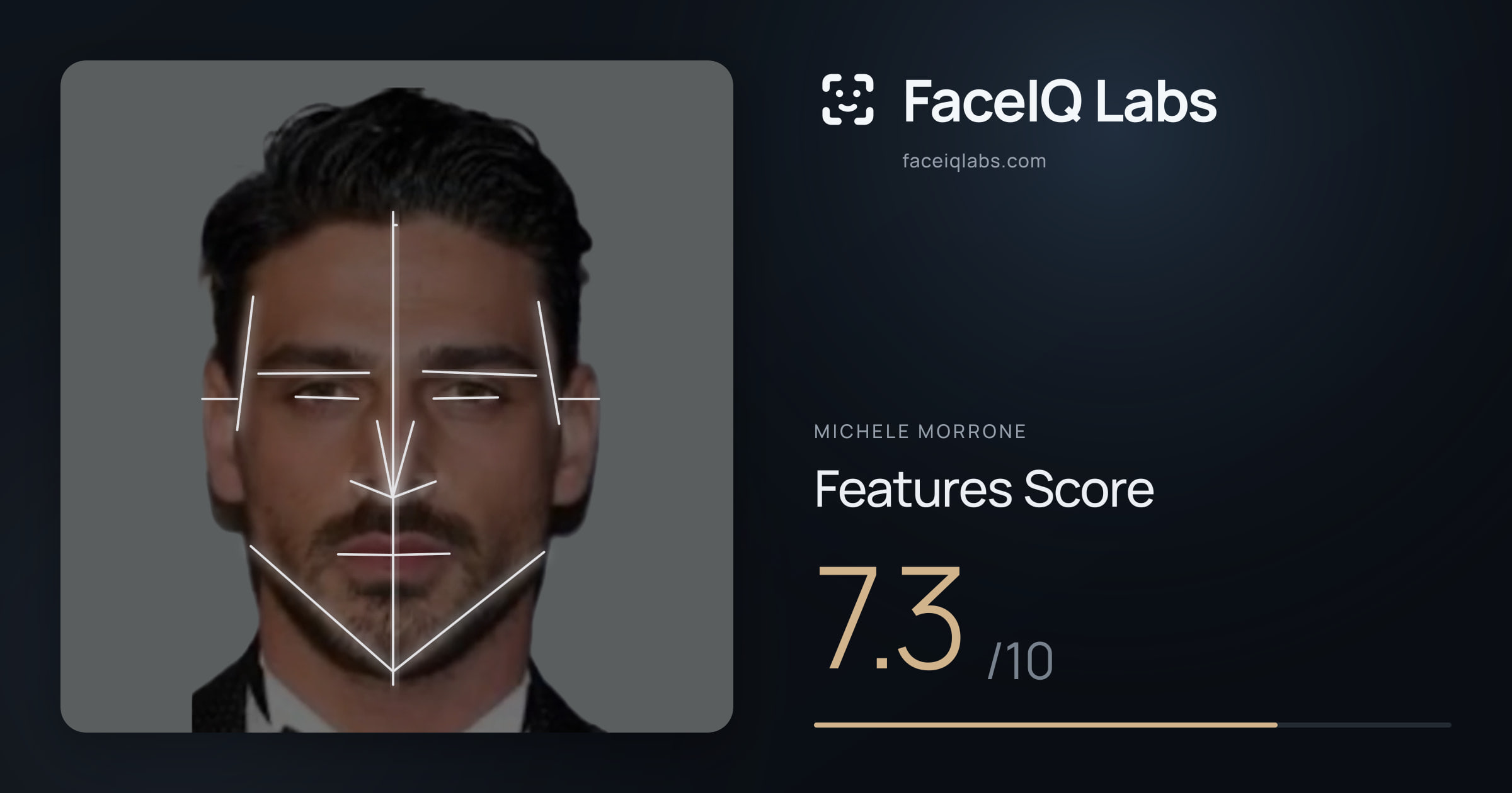 Michele Morrone Features: 7.3/10, with each assessment drawn on the photo