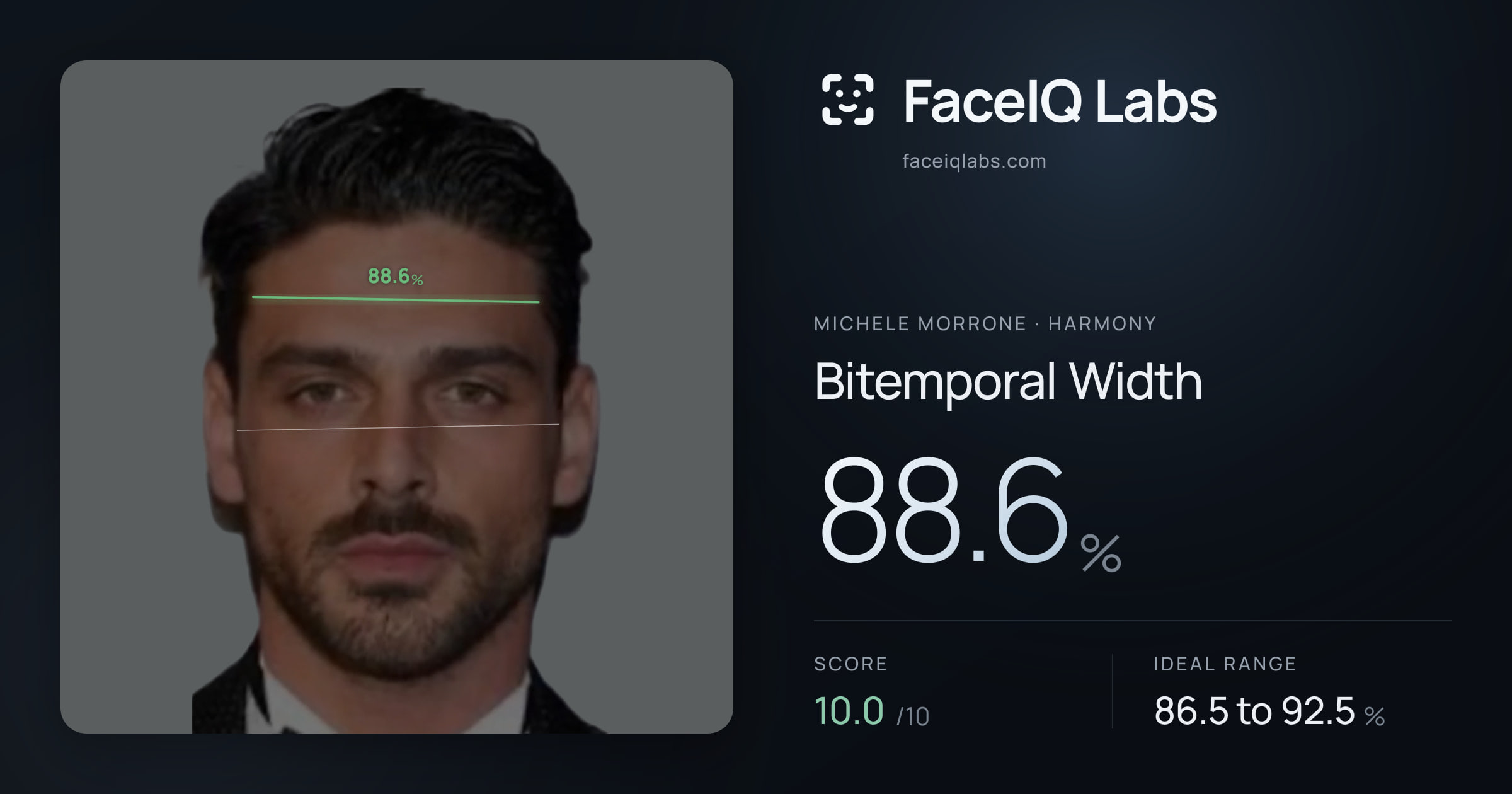 Michele Morrone Bitemporal Width: 88.6%, drawn on the photo
