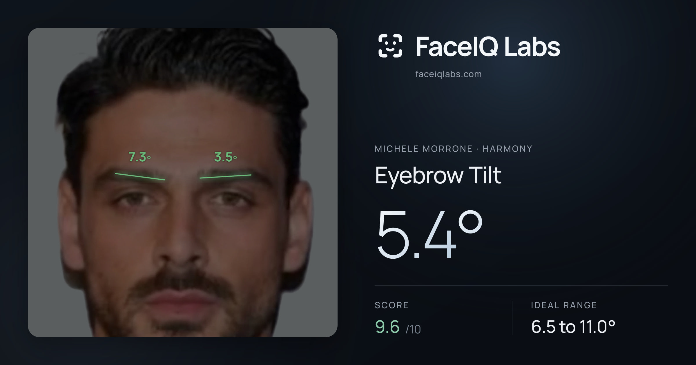Michele Morrone Eyebrow Tilt: 5.4°, drawn on the photo