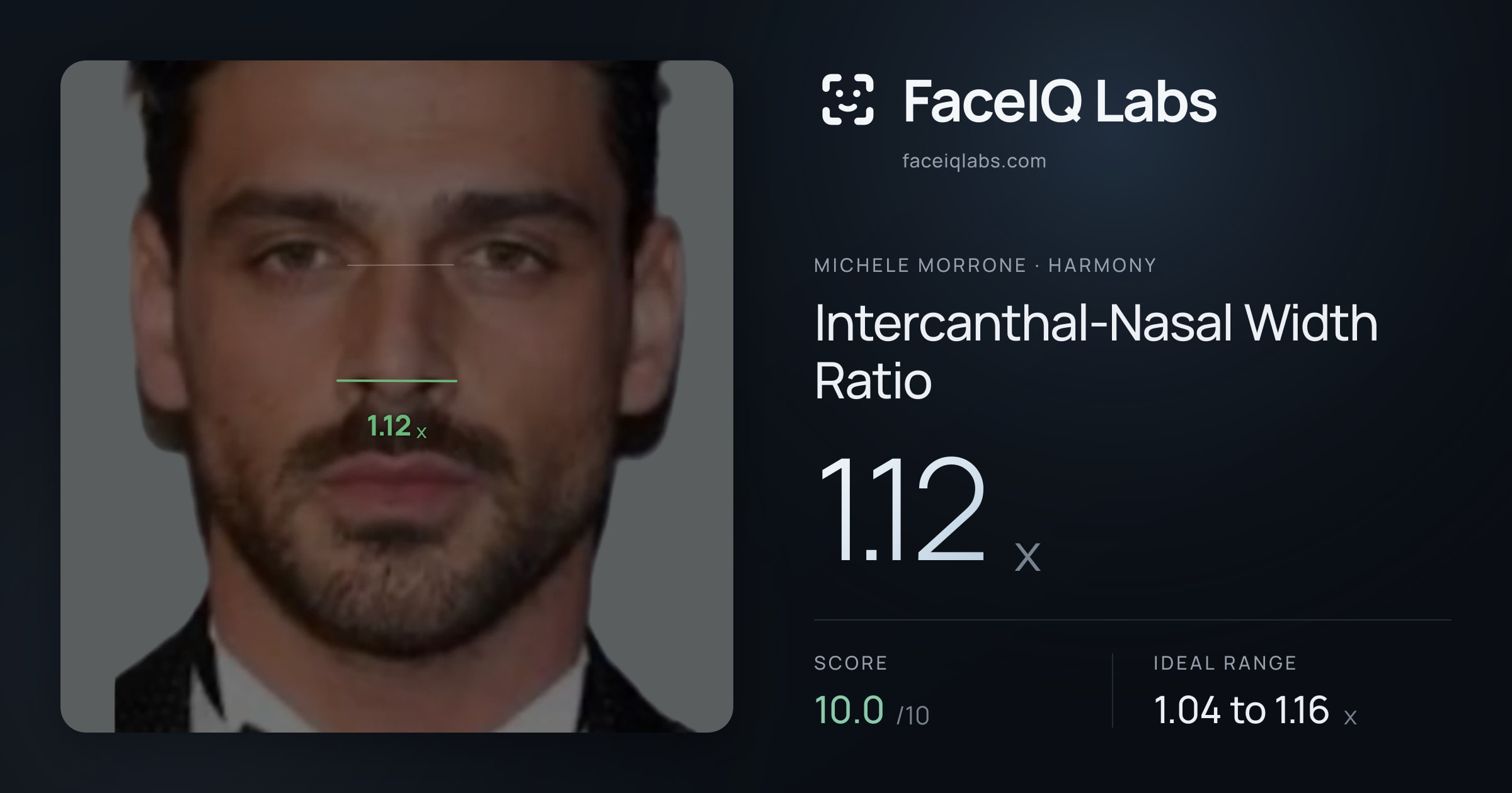 Michele Morrone Intercanthal-Nasal Width Ratio: 1.12x, drawn on the photo