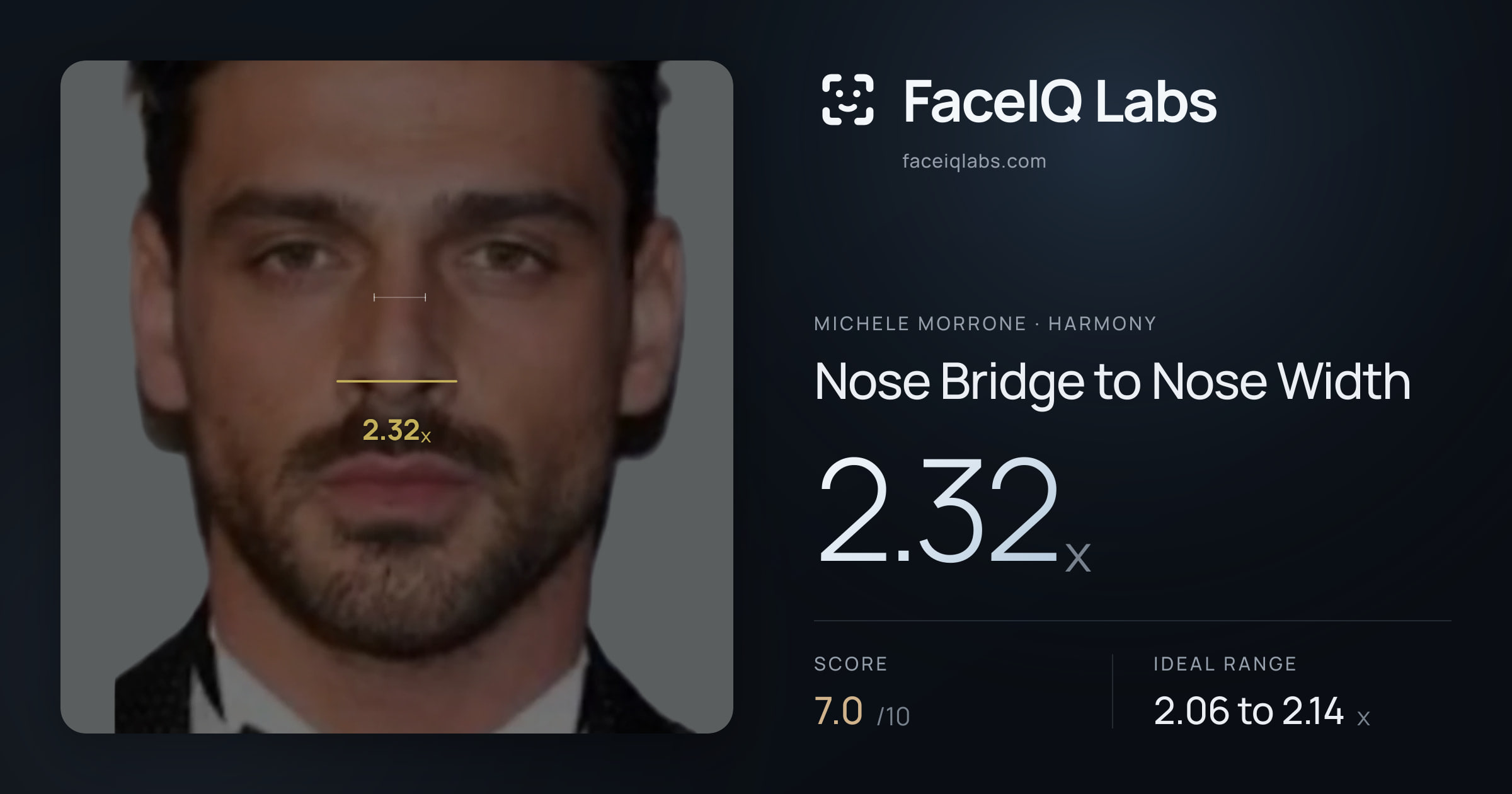 Michele Morrone Nose Bridge to Nose Width: 2.32x, drawn on the photo