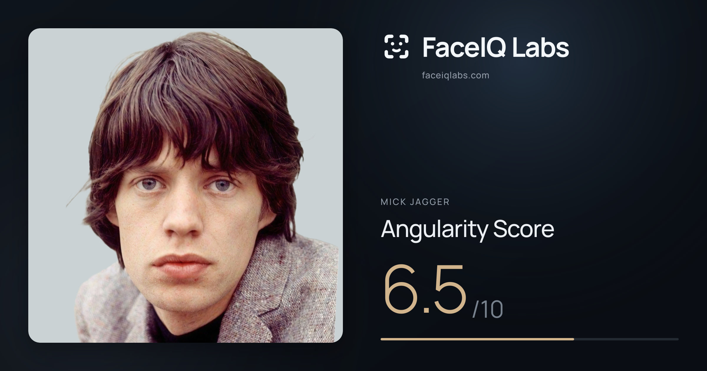Mick Jagger Angularity: 6.5/10, with each assessment drawn on the photo