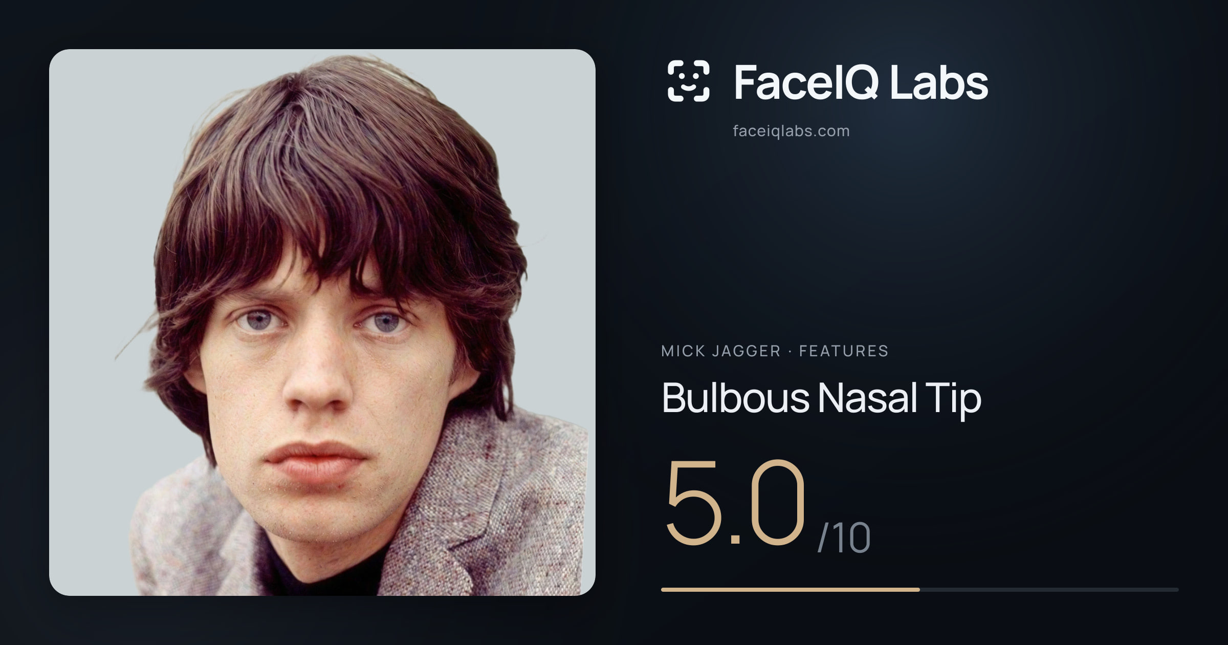Mick Jagger Bulbous Nasal Tip: 5.0/10, drawn on the photo