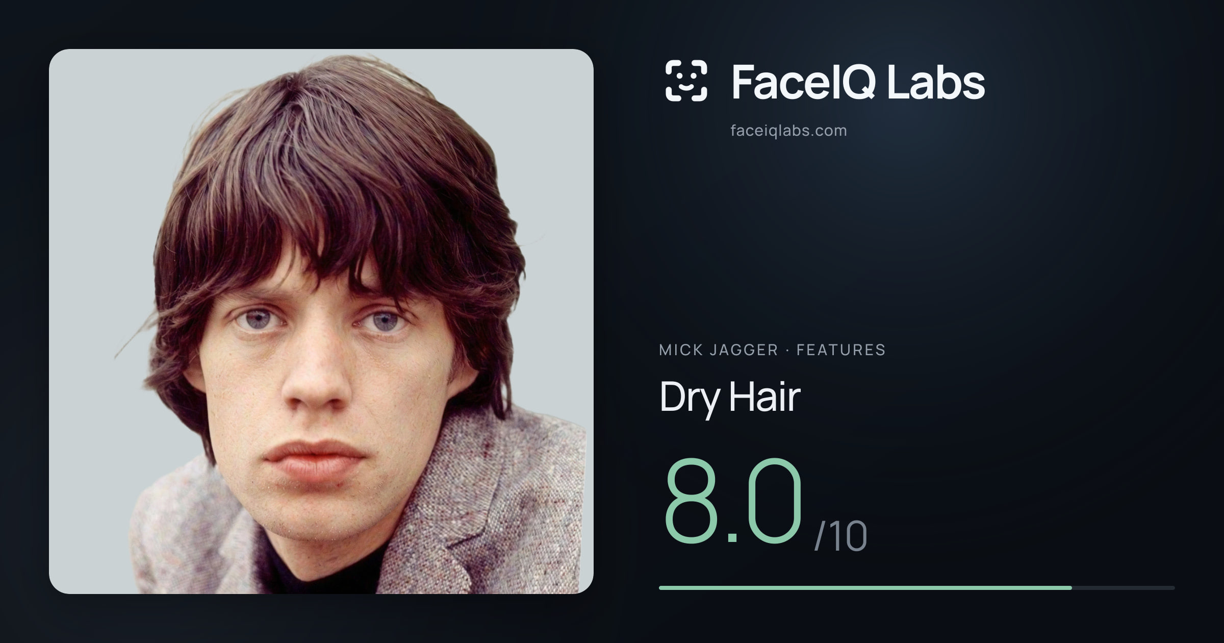 Mick Jagger Dry Hair: 8.0/10, drawn on the photo