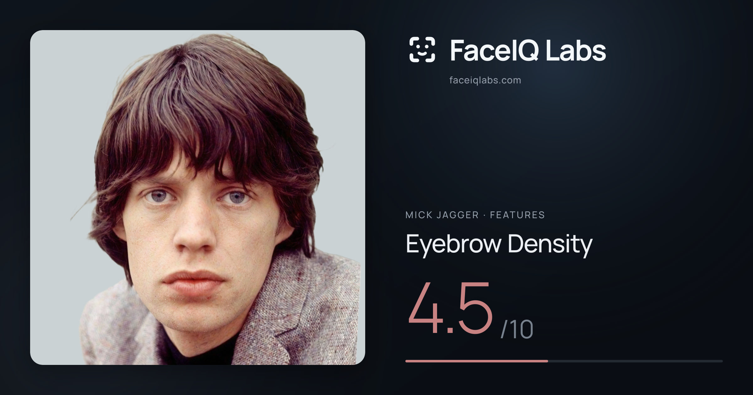 Mick Jagger Eyebrow Density: 4.5/10, drawn on the photo