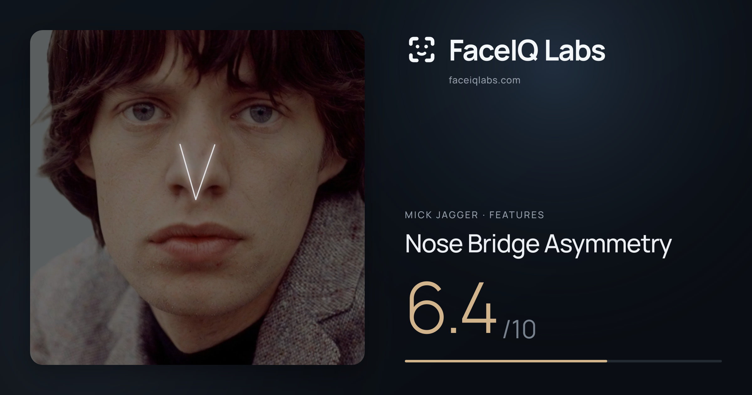 Mick Jagger Nose Bridge Asymmetry: 6.4/10, drawn on the photo