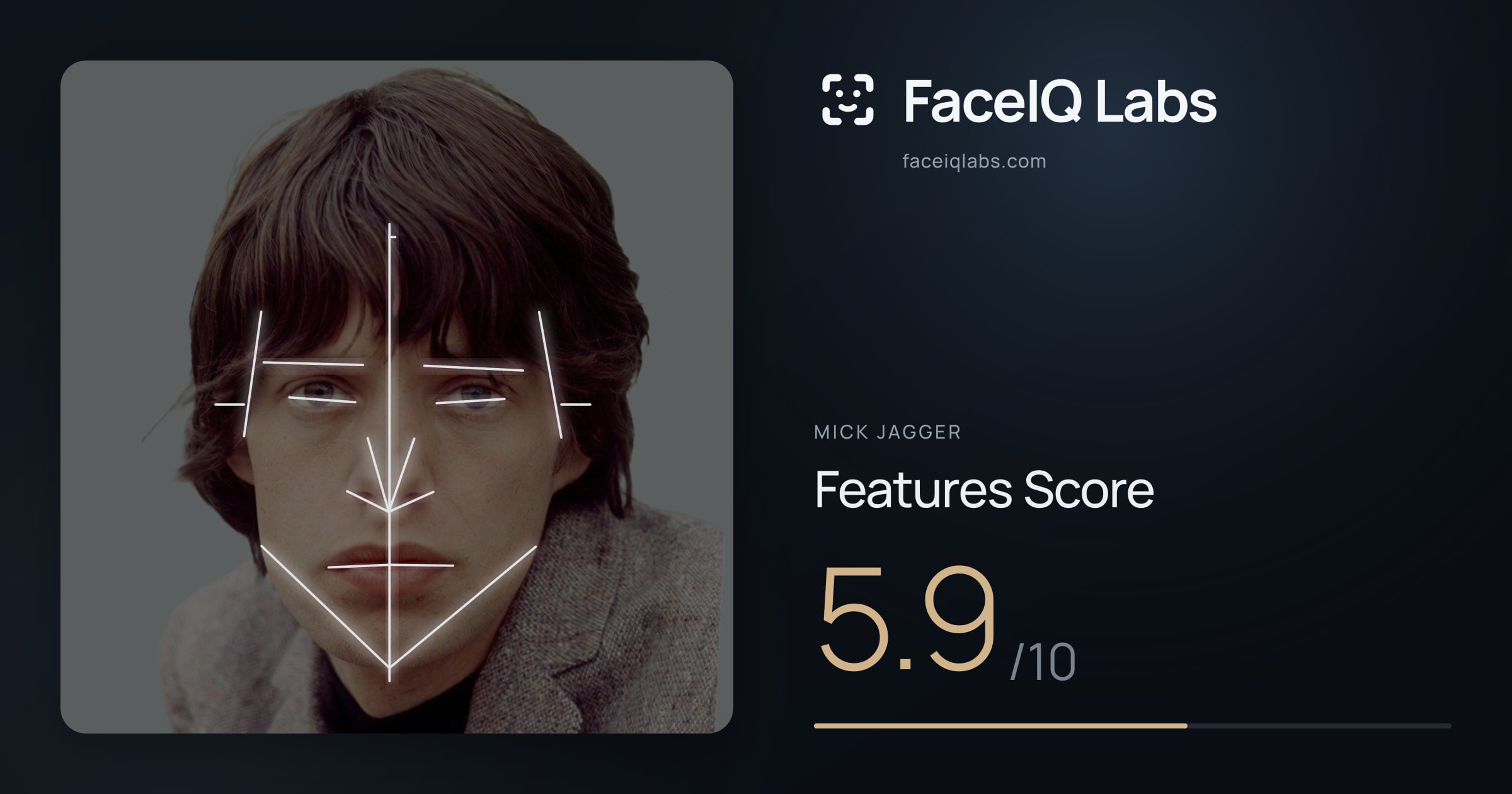 Mick Jagger Features: 5.9/10, with each assessment drawn on the photo