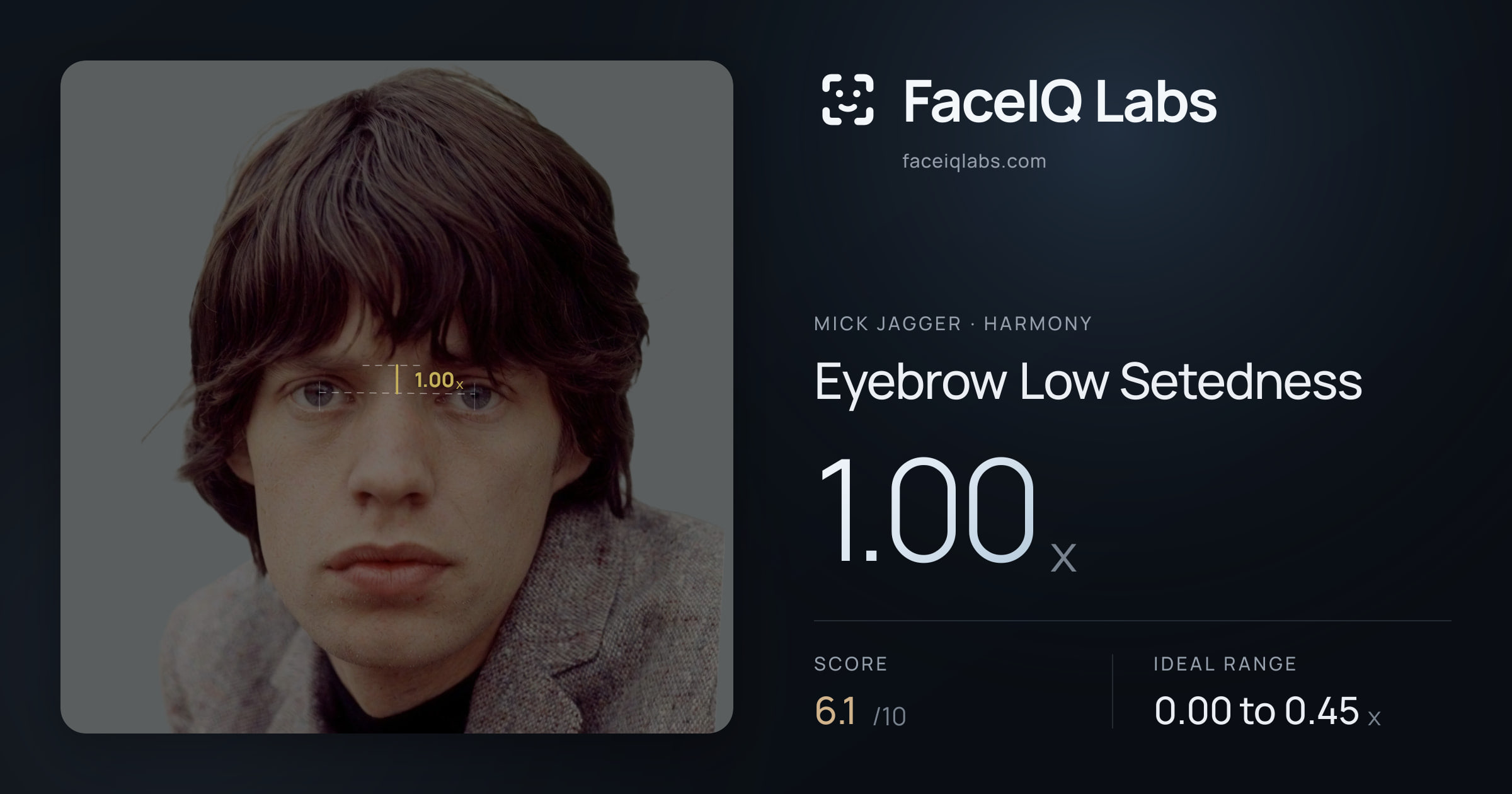Mick Jagger Eyebrow Low Setedness: 1.00x, drawn on the photo