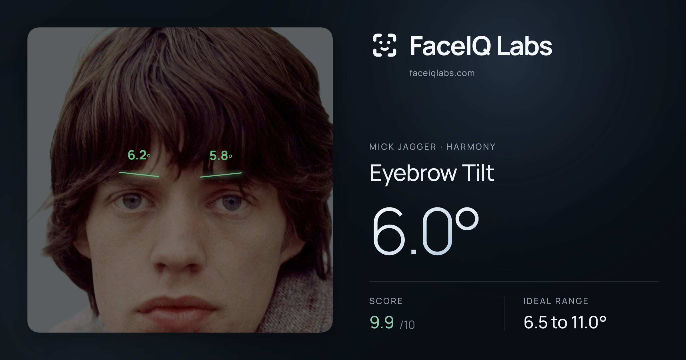 Mick Jagger Eyebrow Tilt: 6.0°, drawn on the photo