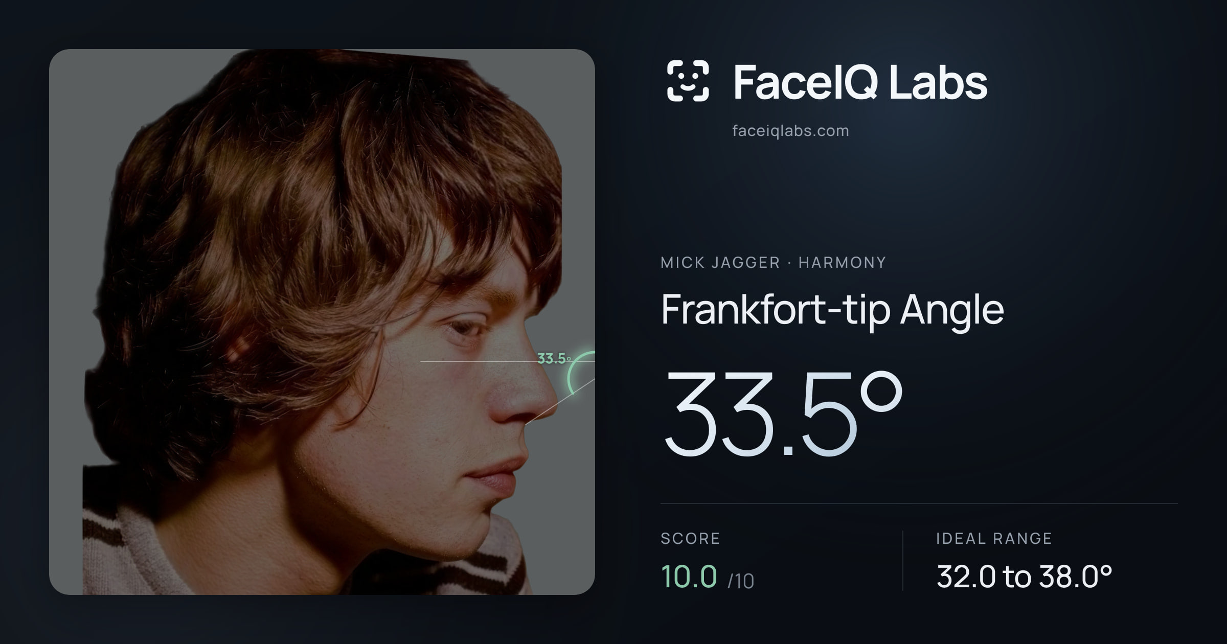 Mick Jagger Frankfort-tip Angle: 33.5°, drawn on the photo