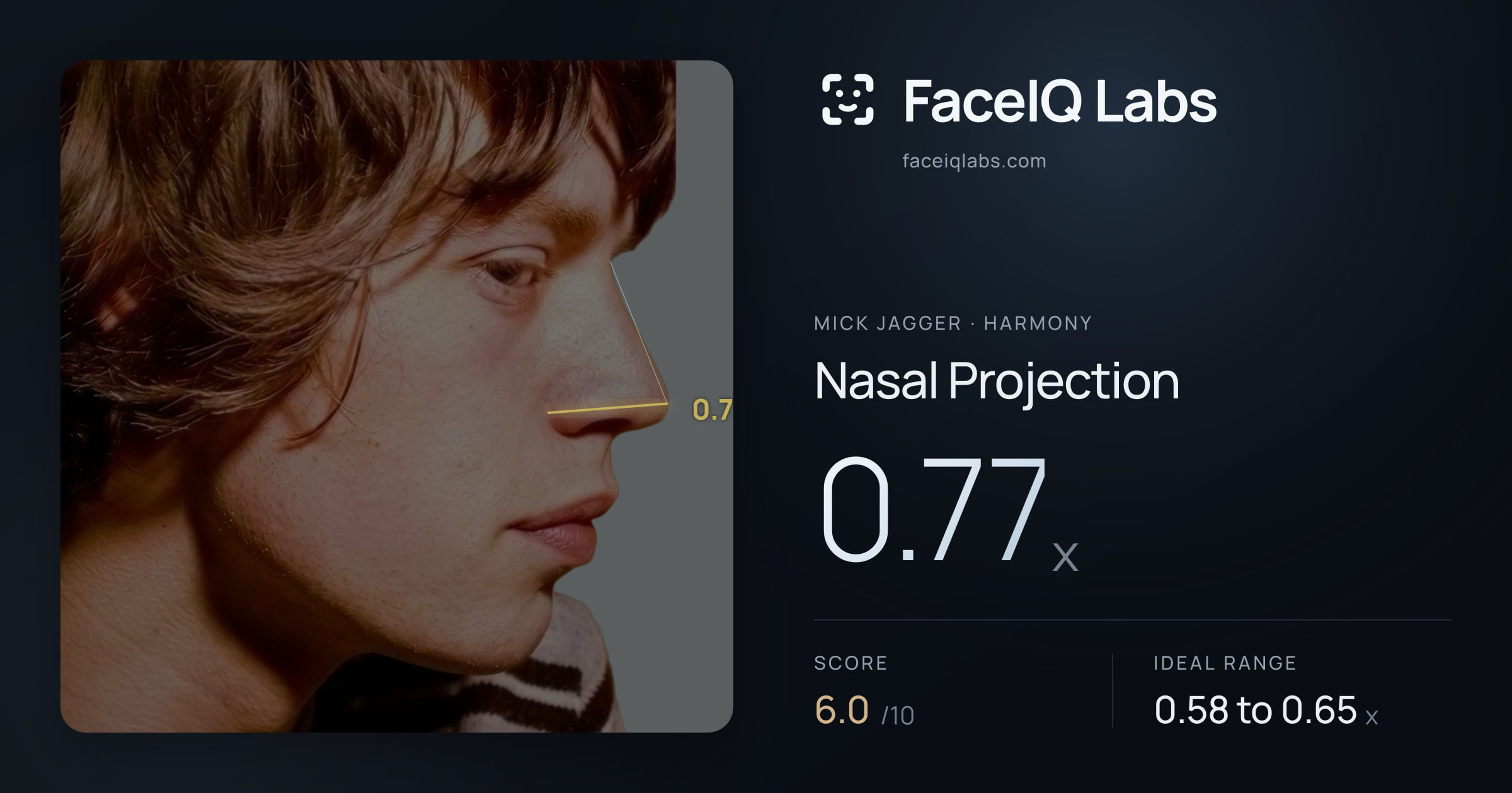 Mick Jagger Nasal Projection: 0.77x, drawn on the photo