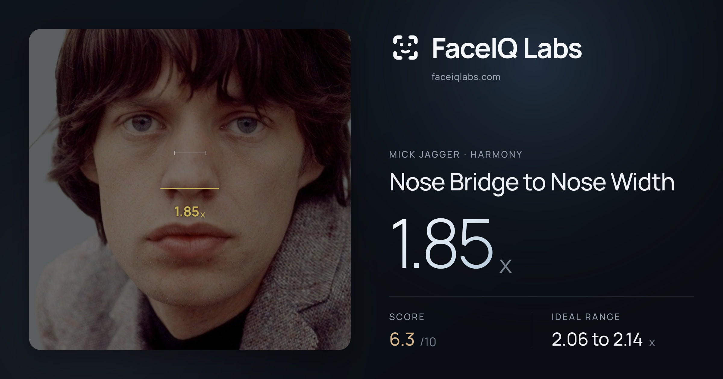 Mick Jagger Nose Bridge to Nose Width: 1.85x, drawn on the photo