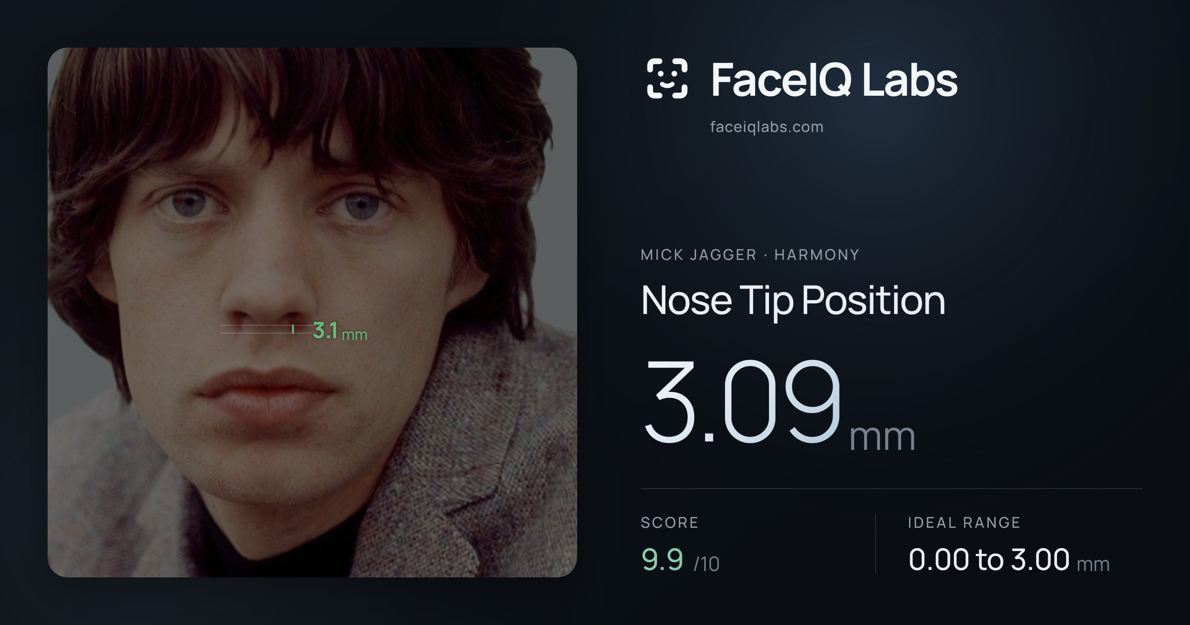 Mick Jagger Nose Tip Position: 3.09mm, drawn on the photo