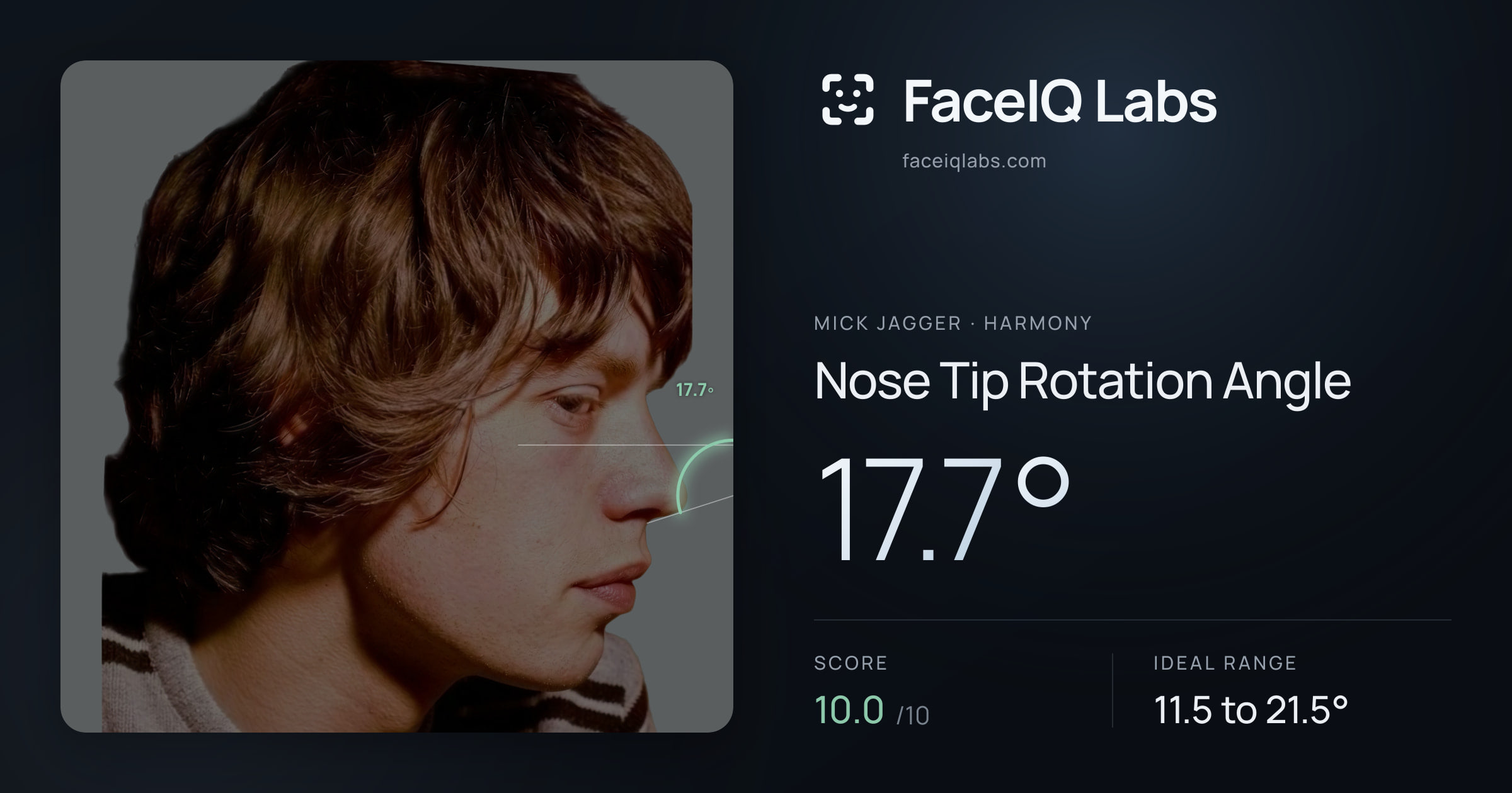 Mick Jagger Nose Tip Rotation Angle: 17.7°, drawn on the photo
