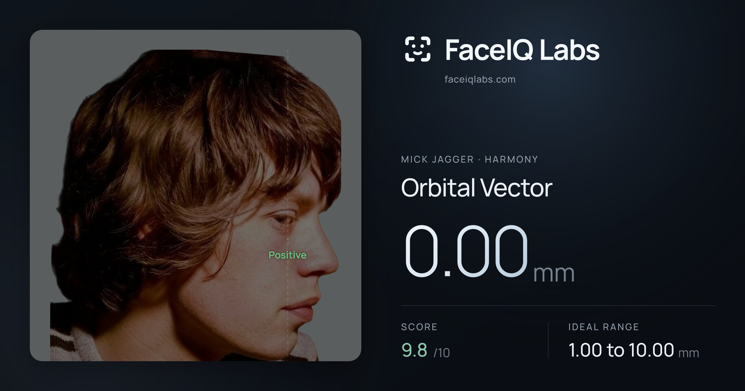 Mick Jagger Orbital Vector: 0.00mm, drawn on the photo