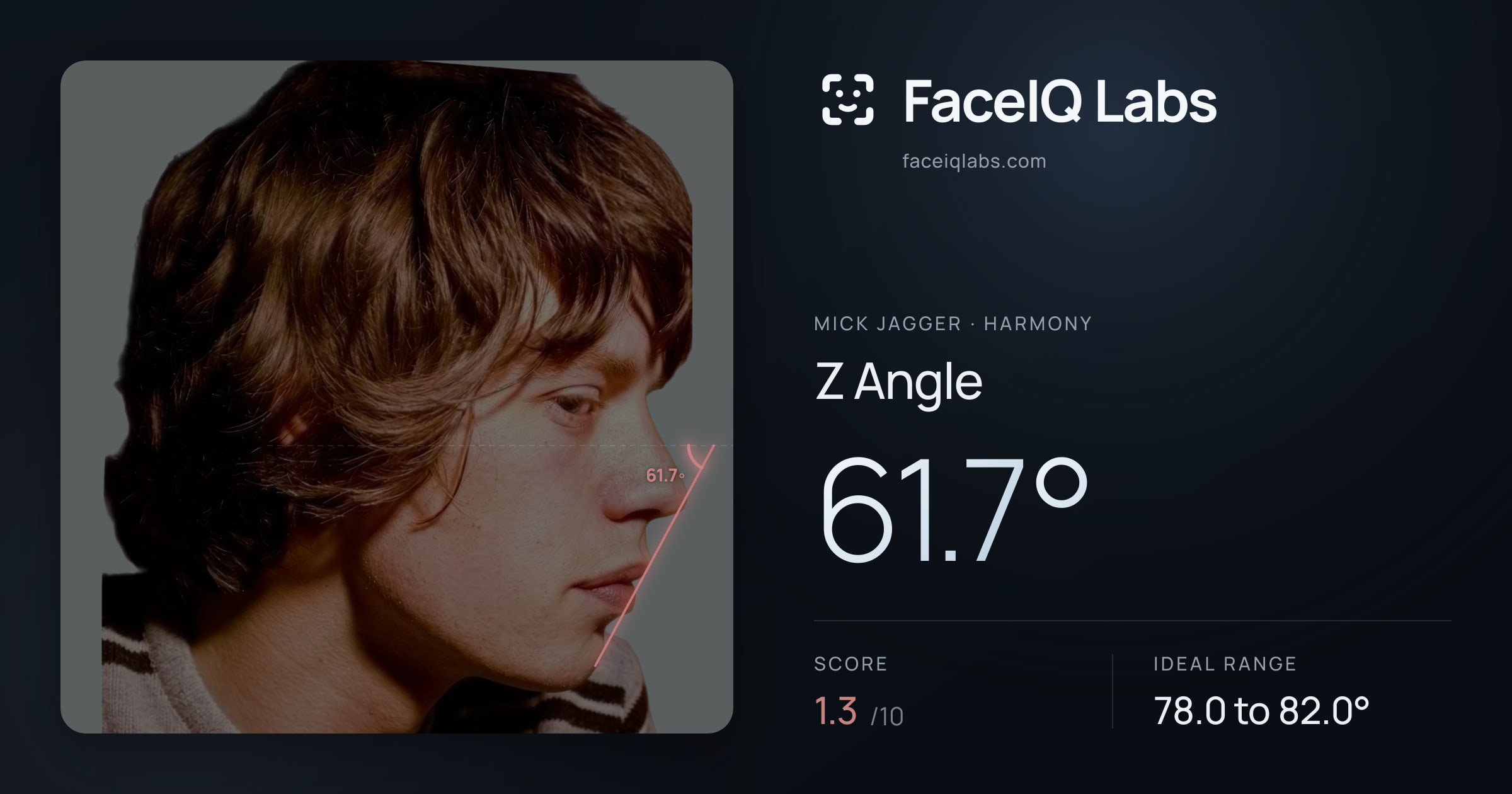 Mick Jagger Z Angle: 61.7°, drawn on the photo
