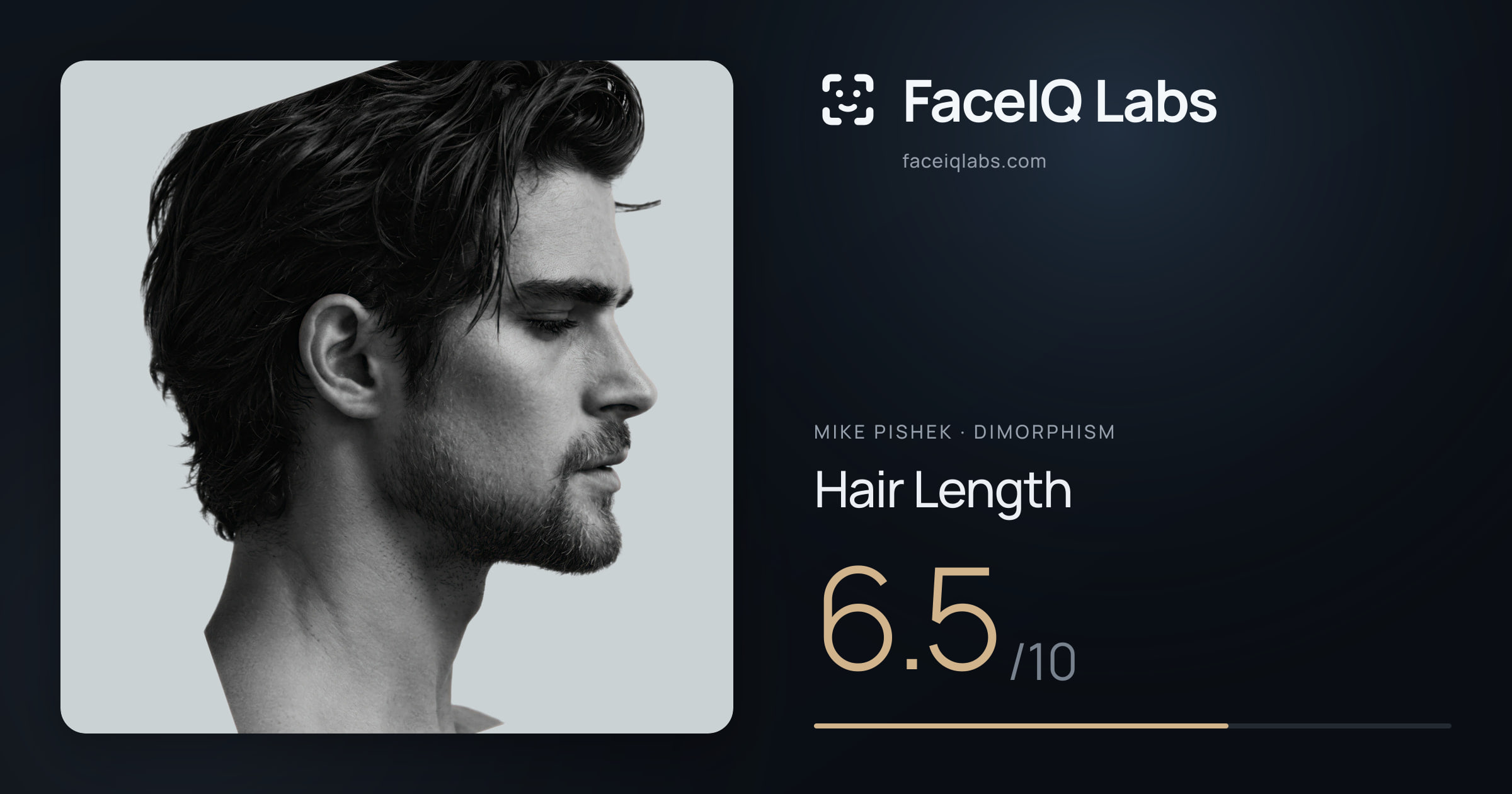 Mike Pishek Hair Length: 6.5/10, drawn on the photo