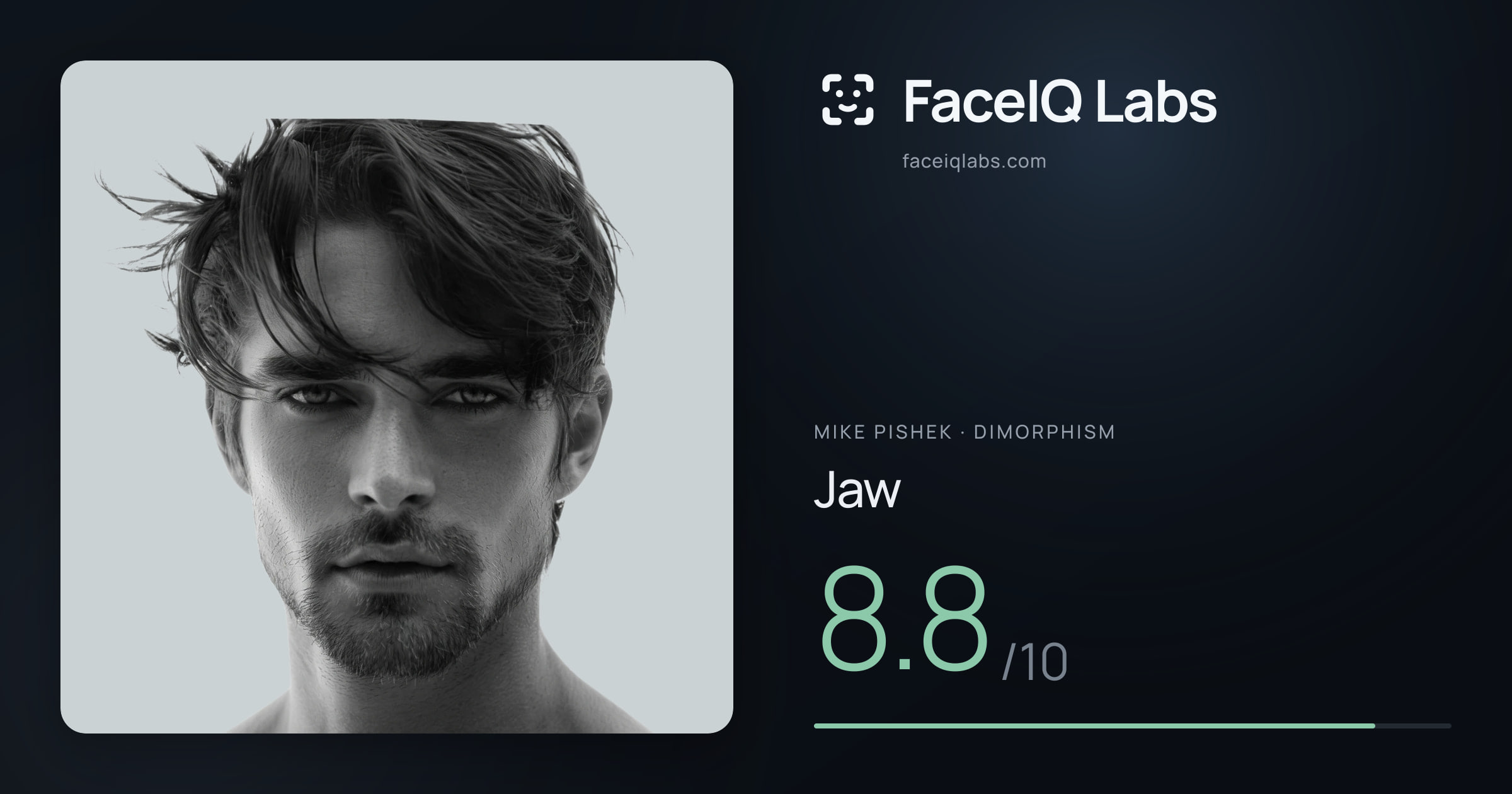 Mike Pishek Jaw: 8.8/10, drawn on the photo