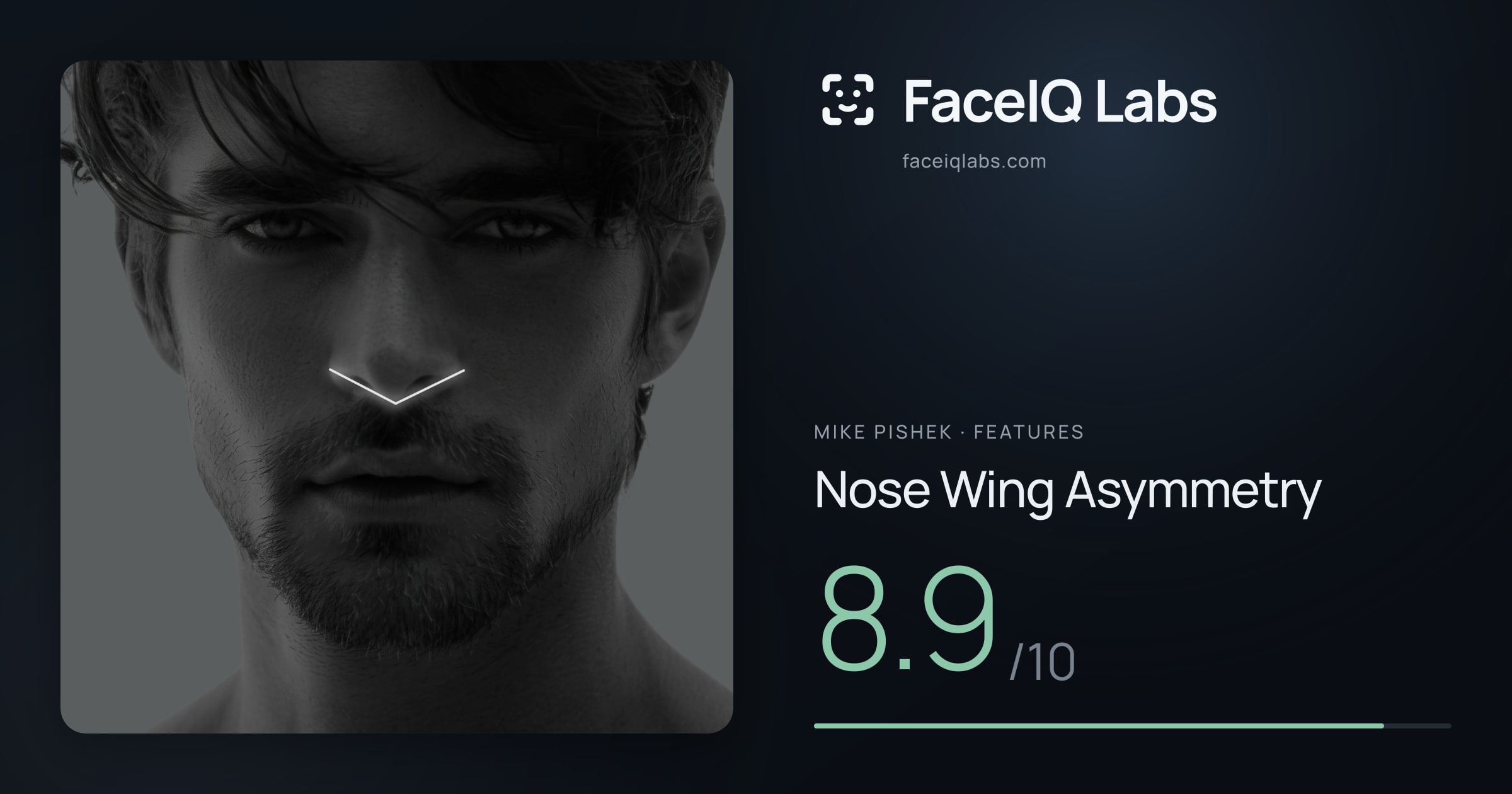 Mike Pishek Nose Wing Asymmetry: 8.9/10, drawn on the photo