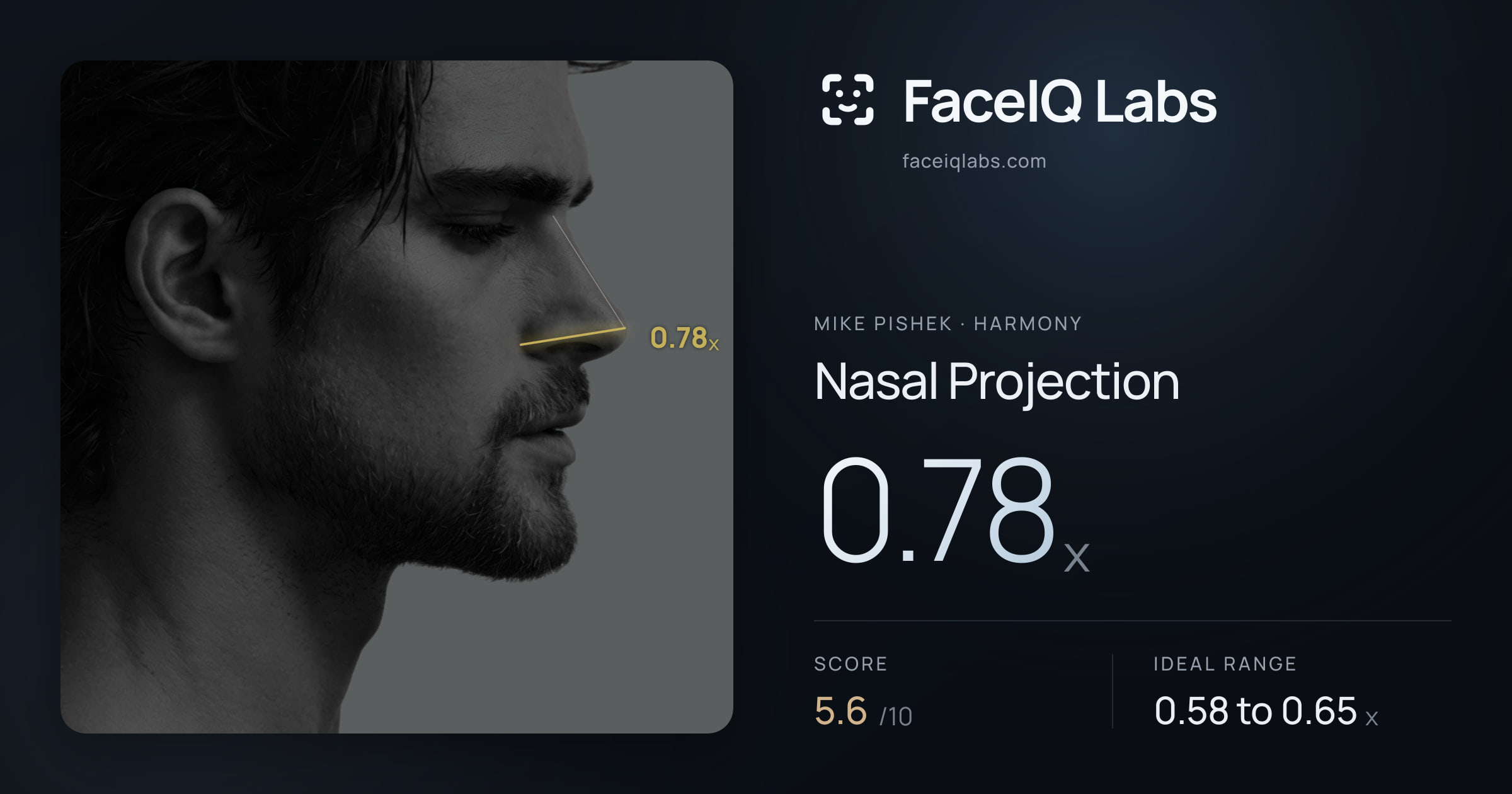 Mike Pishek Nasal Projection: 0.78x, drawn on the photo