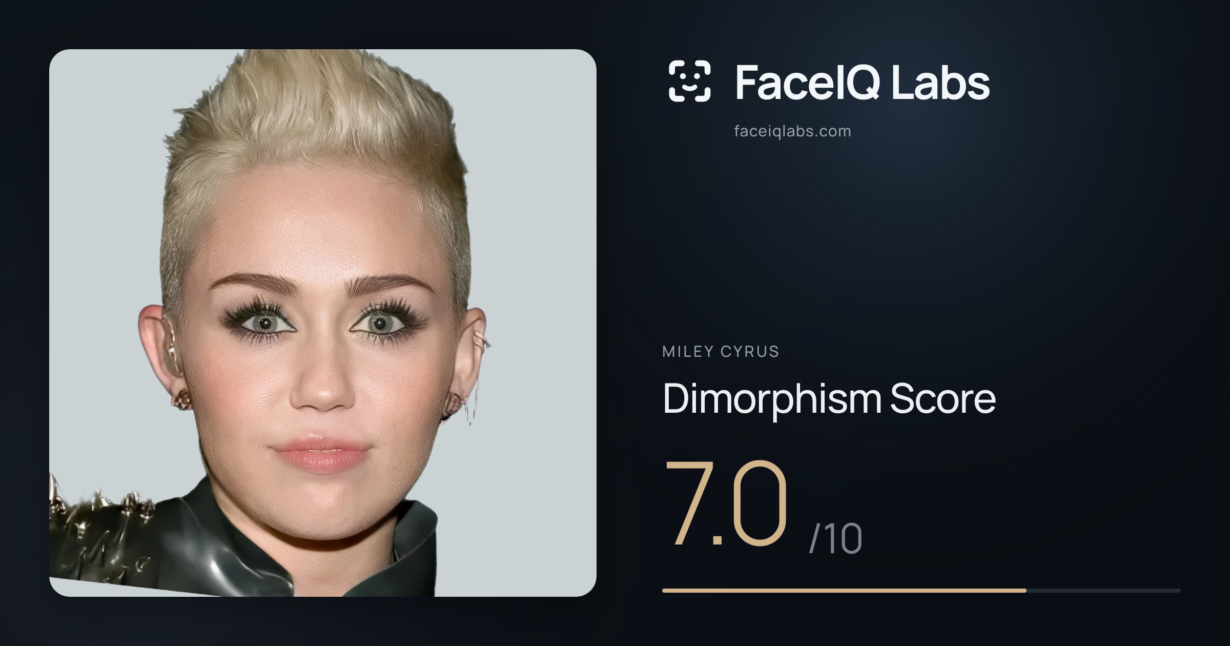 Miley Cyrus Dimorphism: 7.0/10, with each assessment drawn on the photo