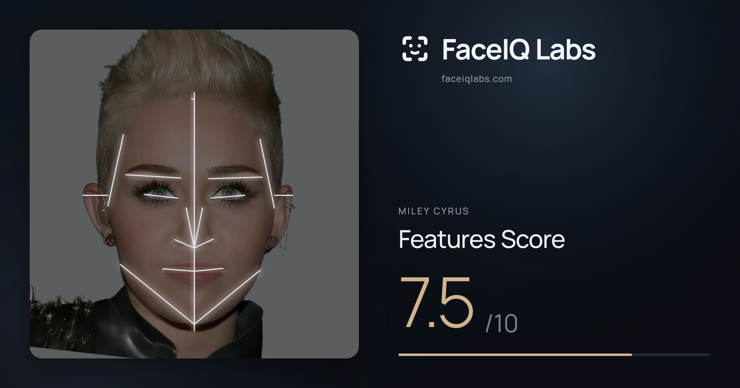 Miley Cyrus Features: 7.5/10, with each assessment drawn on the photo