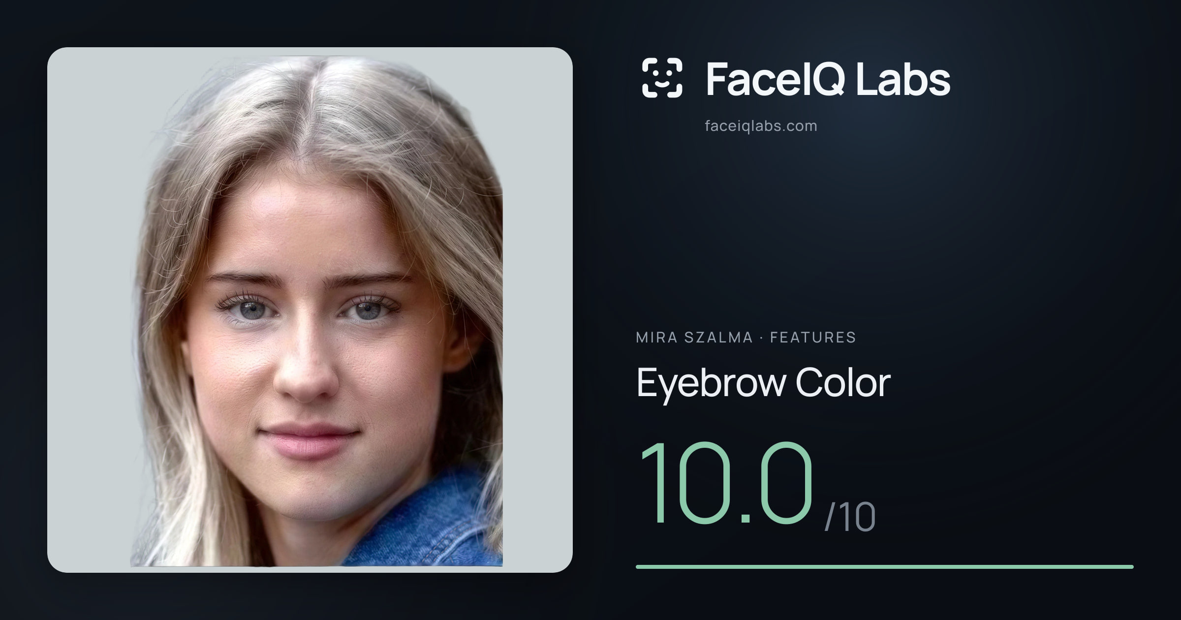 Mira Szalma Eyebrow Color: 10.0/10, drawn on the photo