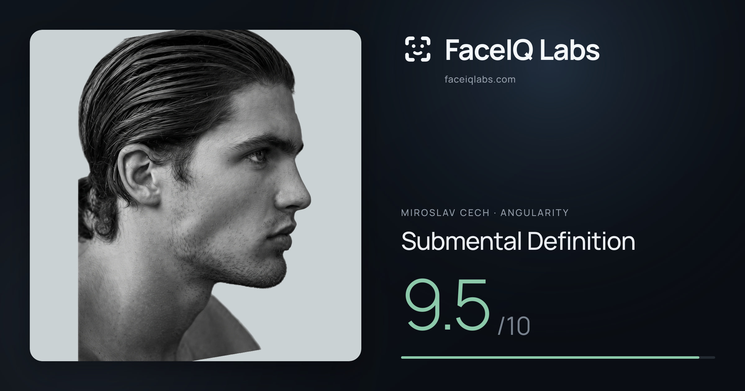 Miroslav Cech Submental Definition: 9.5/10, drawn on the photo