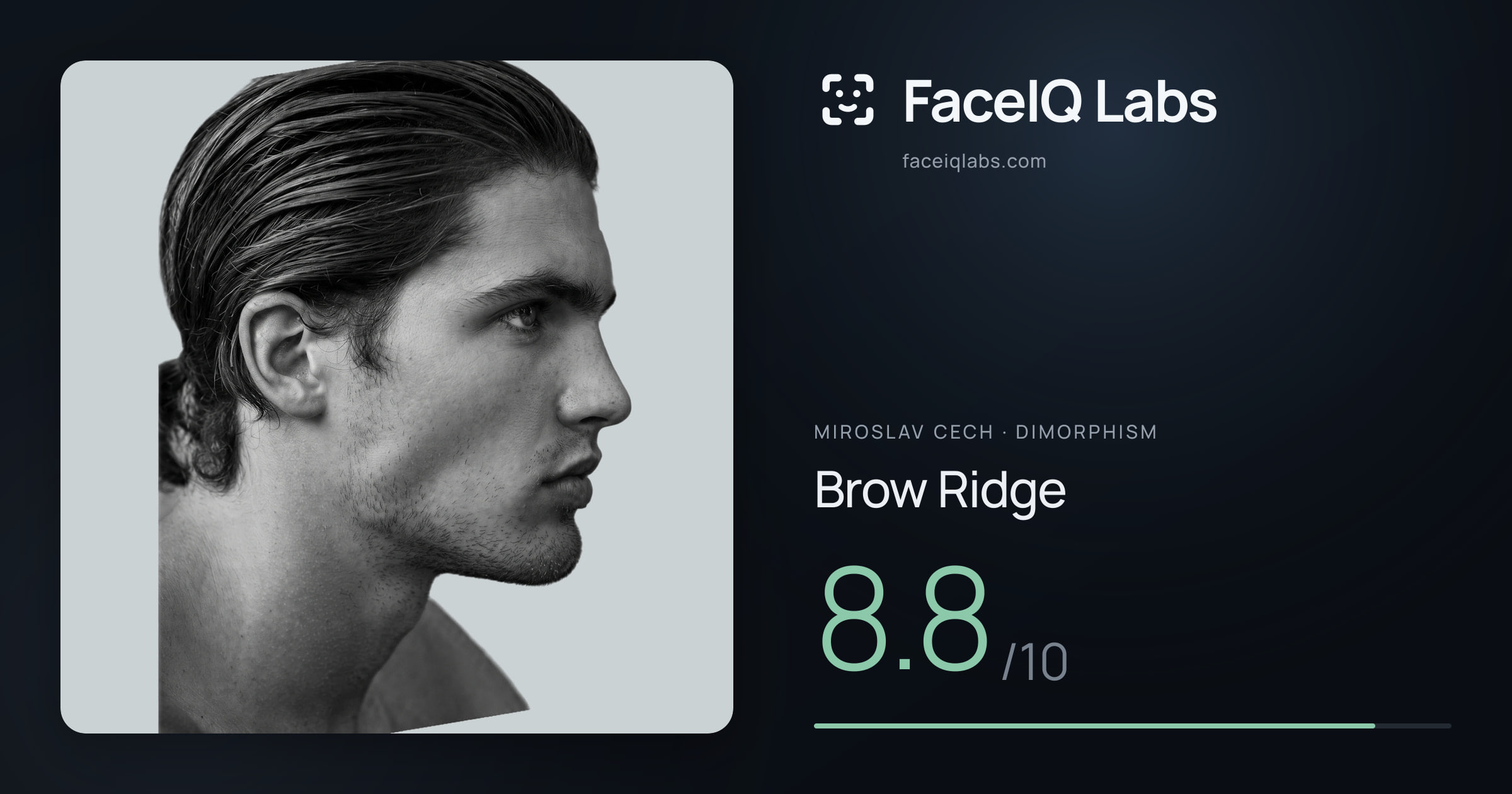 Miroslav Cech Brow Ridge: 8.8/10, drawn on the photo