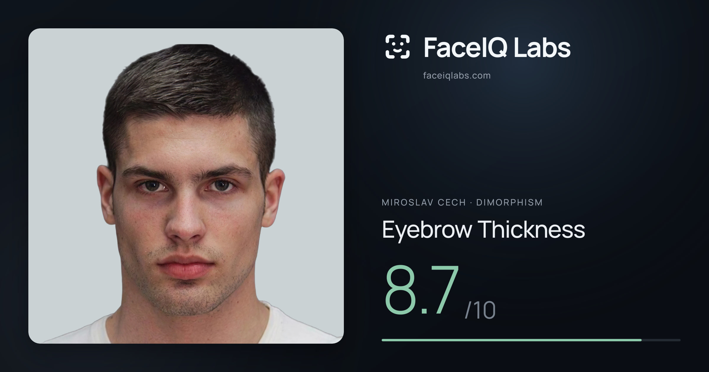 Miroslav Cech Eyebrow Thickness: 8.7/10, drawn on the photo