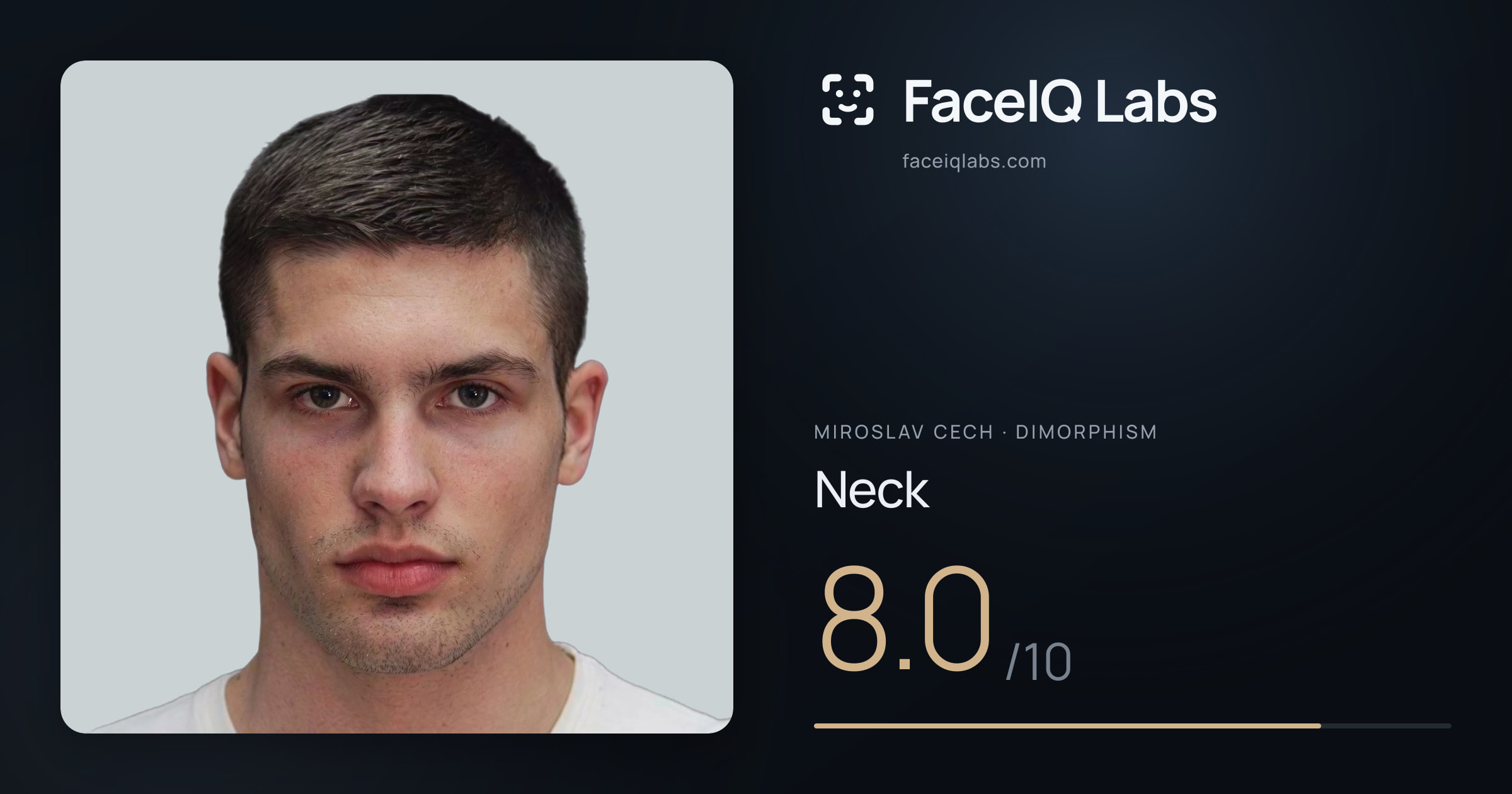 Miroslav Cech Neck: 8.0/10, drawn on the photo