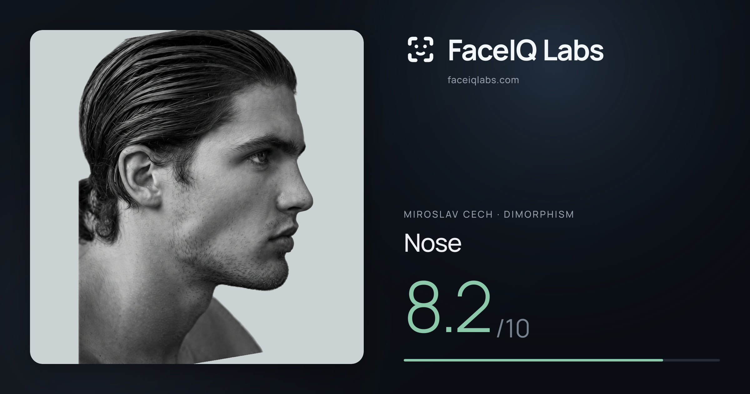 Miroslav Cech Nose: 8.2/10, drawn on the photo