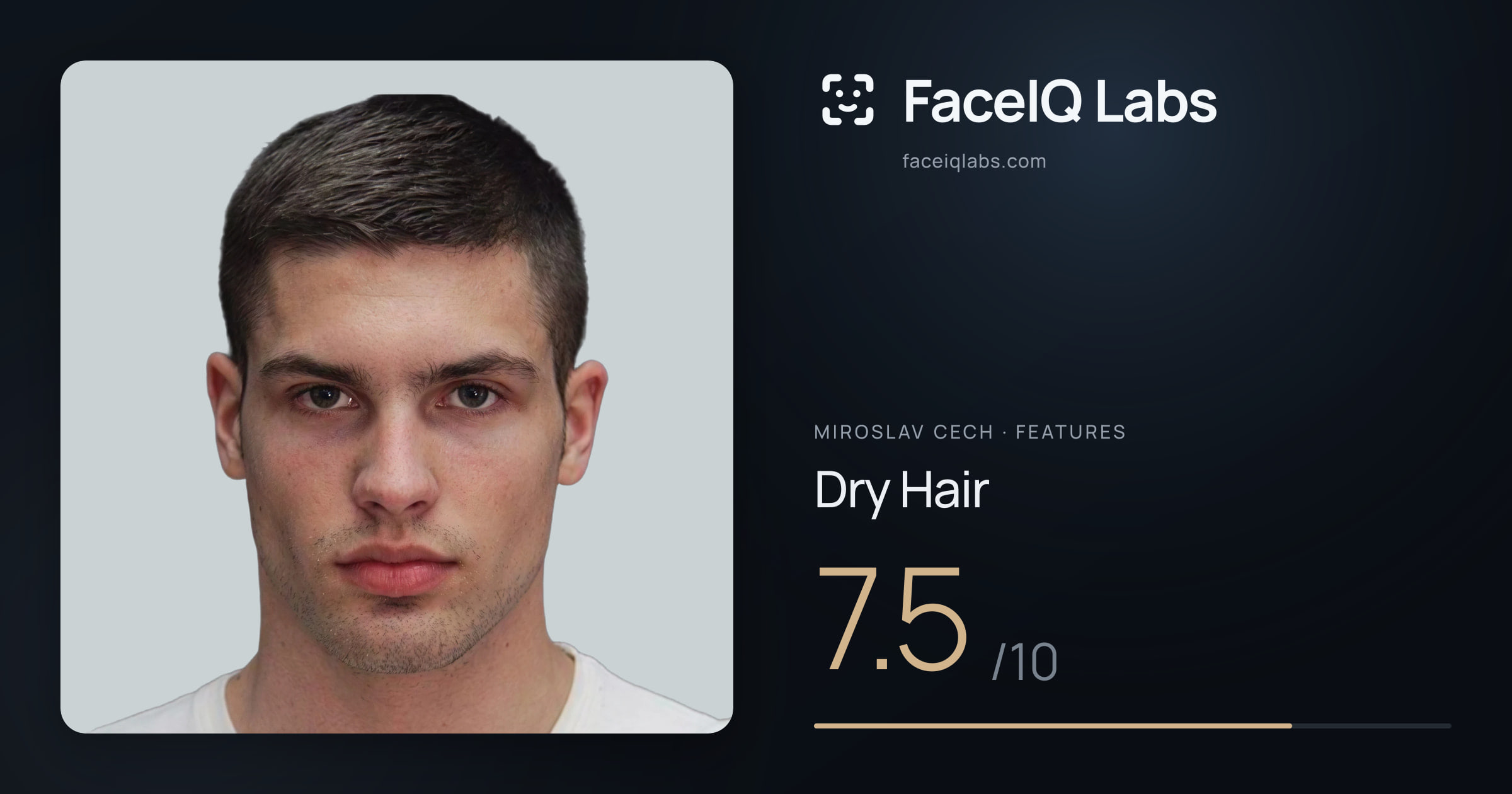 Miroslav Cech Dry Hair: 7.5/10, drawn on the photo